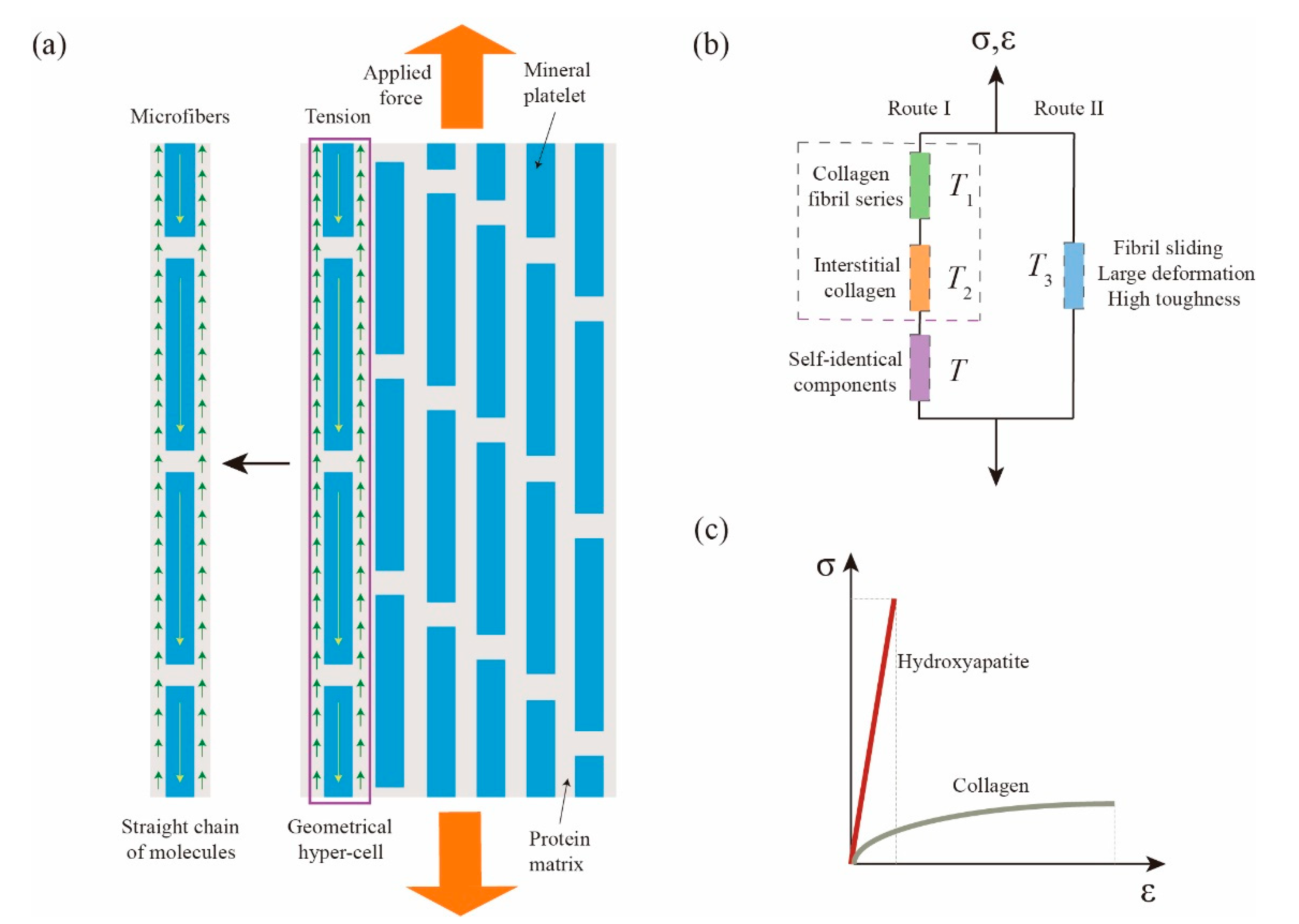 Fractalfract 07 00642 g003
