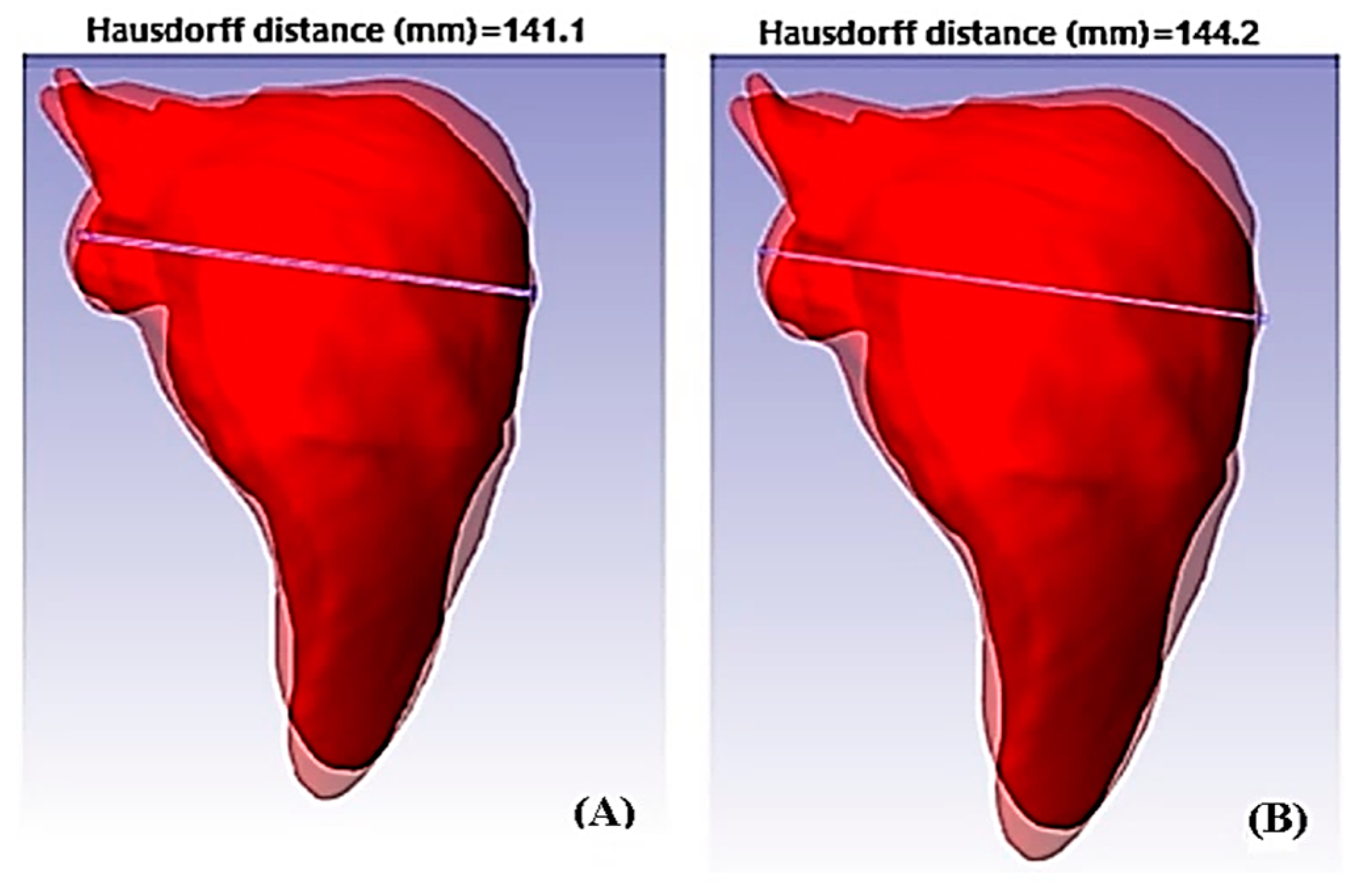 Fractalfract 07 00661 g010