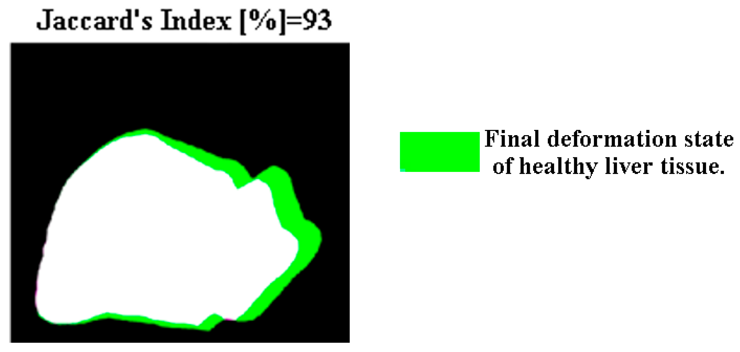 Fractalfract 07 00661 g013