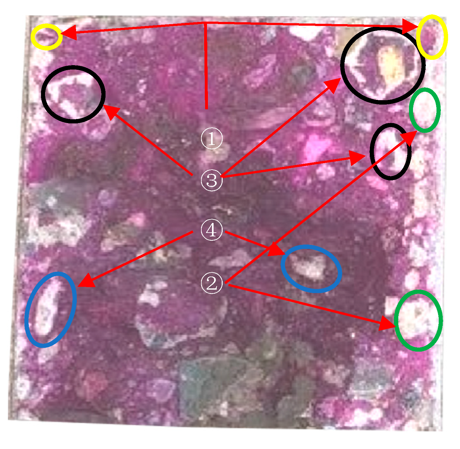 Fractalfract 07 00663 g019