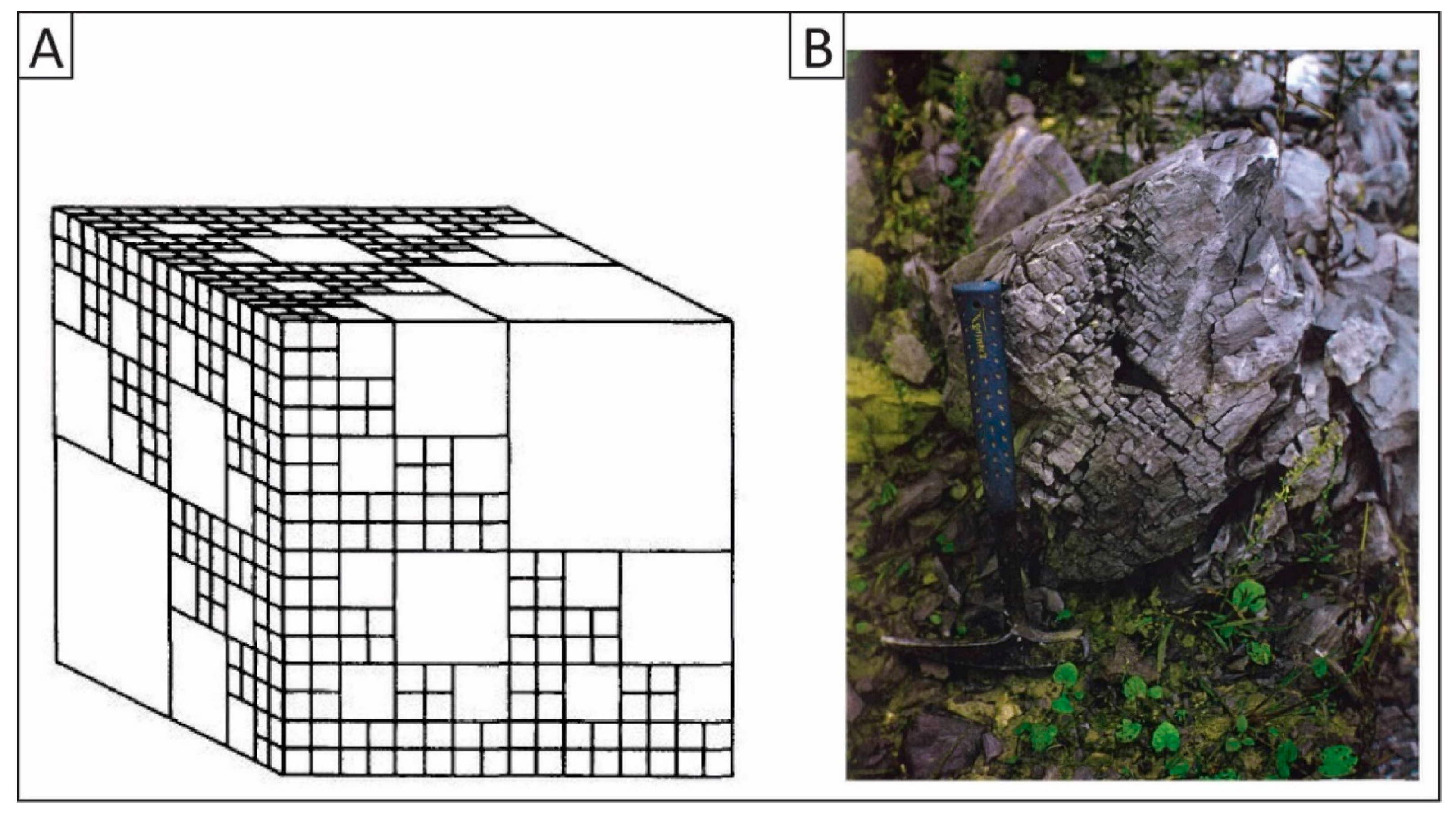 Fractalfract 07 00676 g003