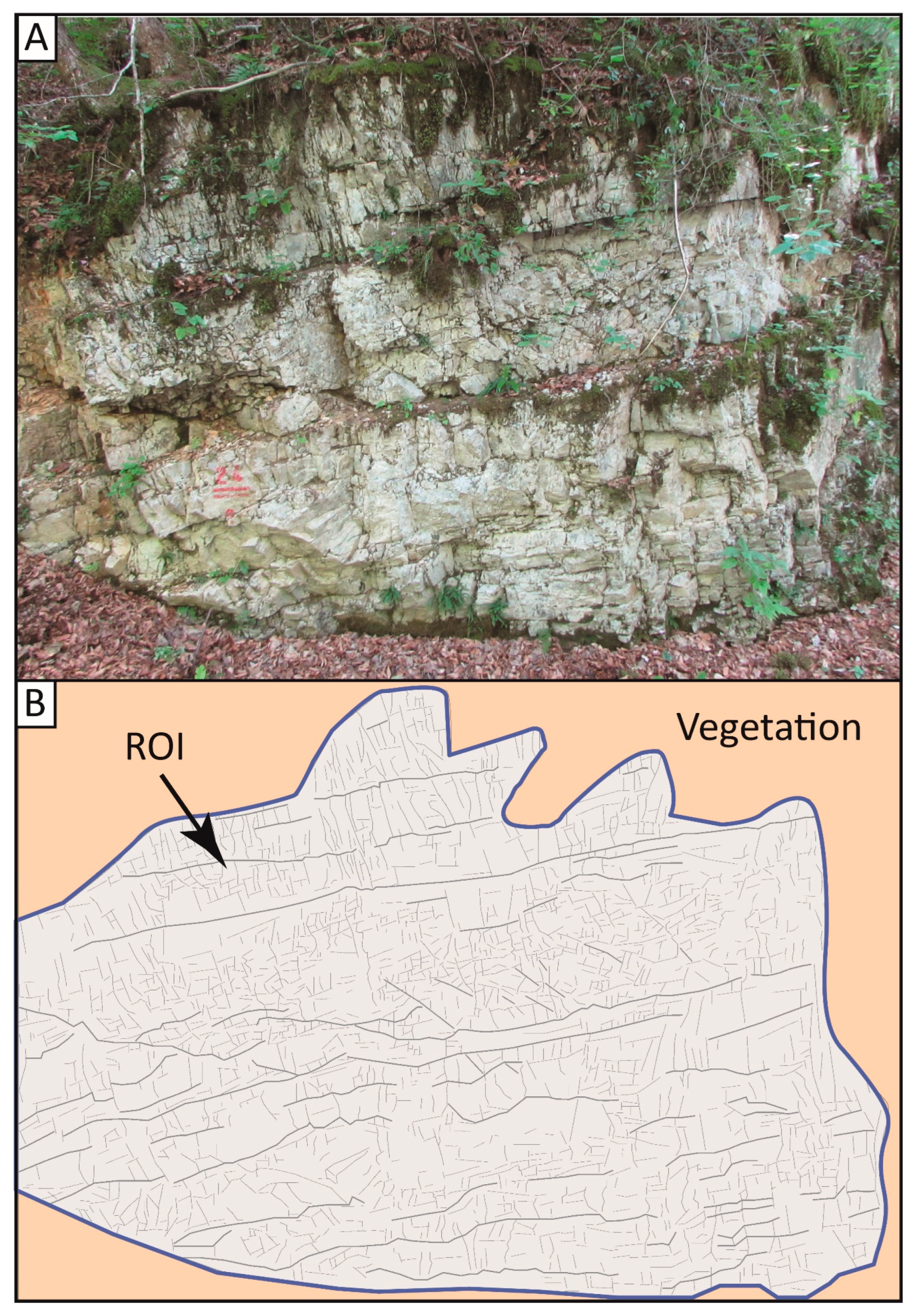Fractalfract 07 00676 g006