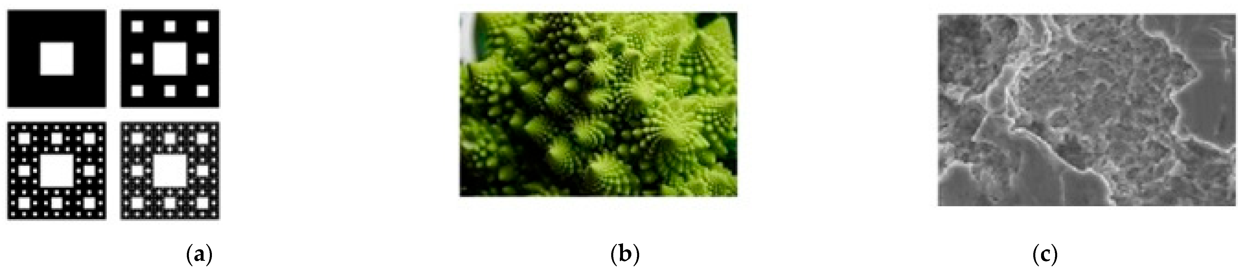 Fractalfract 07 00710 g005