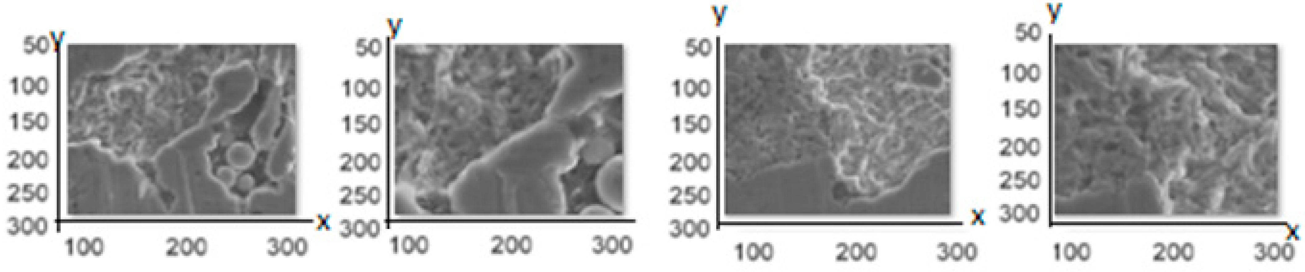 Fractalfract 07 00710 g009