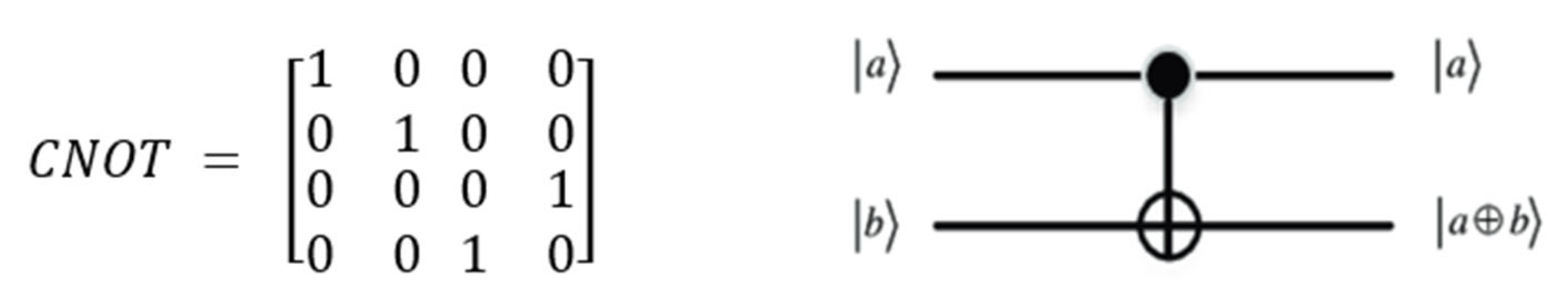 Fractalfract 07 00734 g008 Fractalfract 07 00734 g008