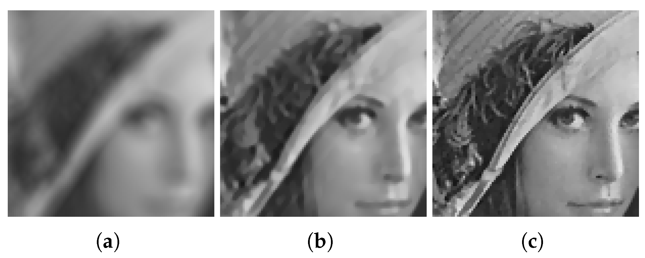 Fractalfract 07 00756 g001