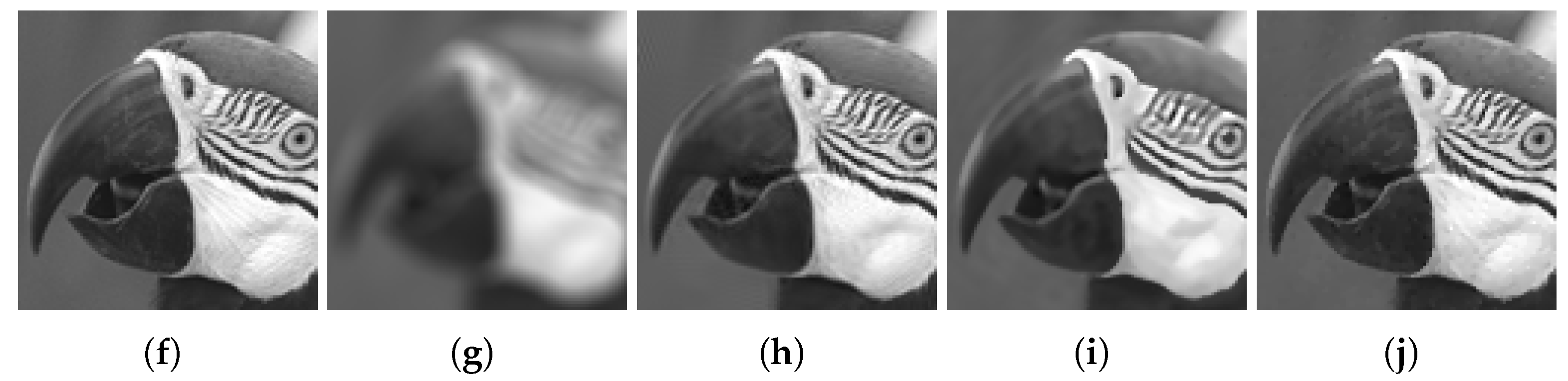 Fractalfract 07 00756 g010b