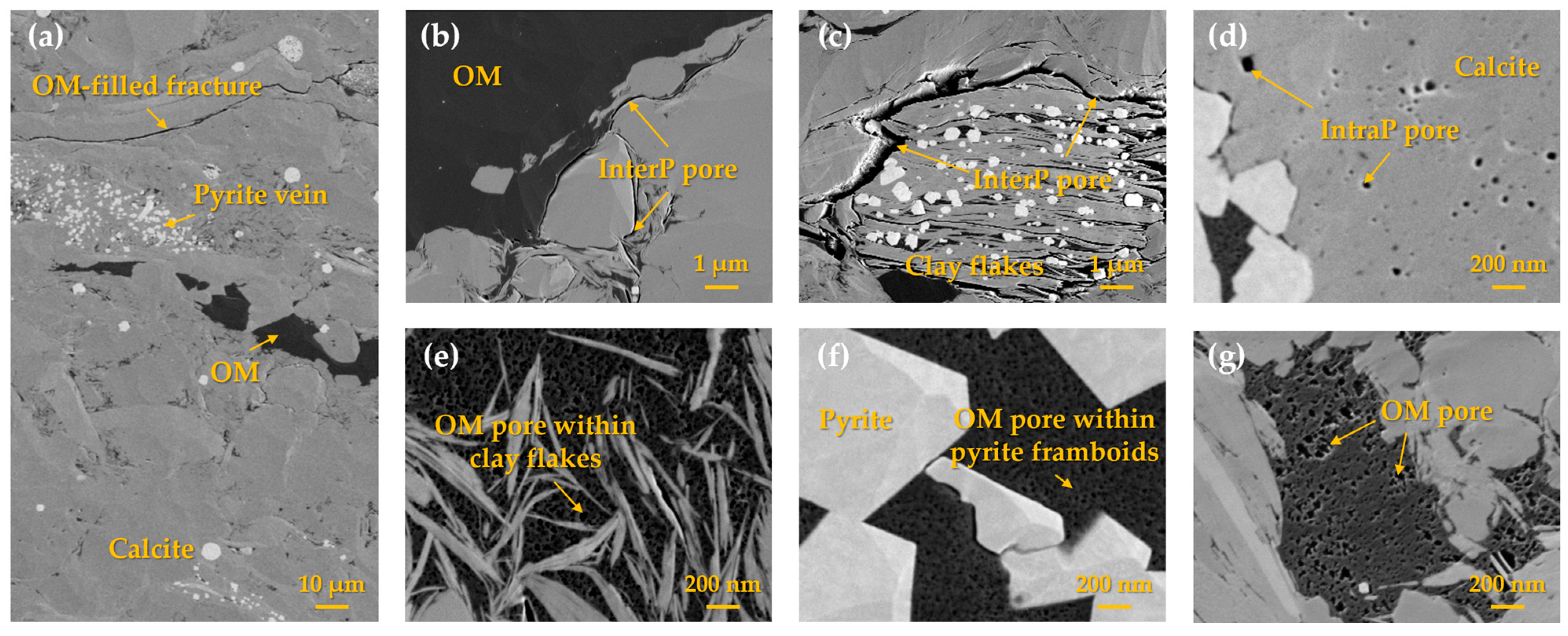 Fractalfract 07 00803 g001