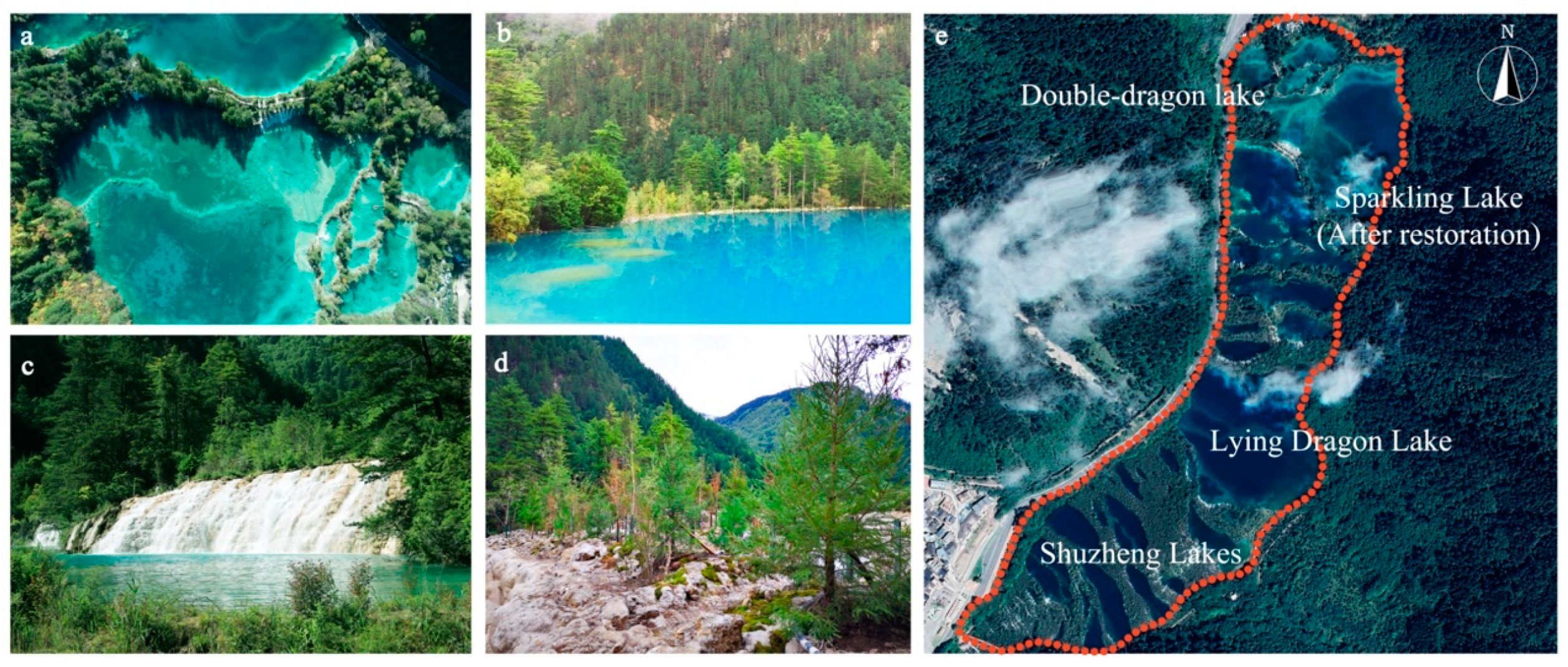Fractalfract 07 00863 g010
