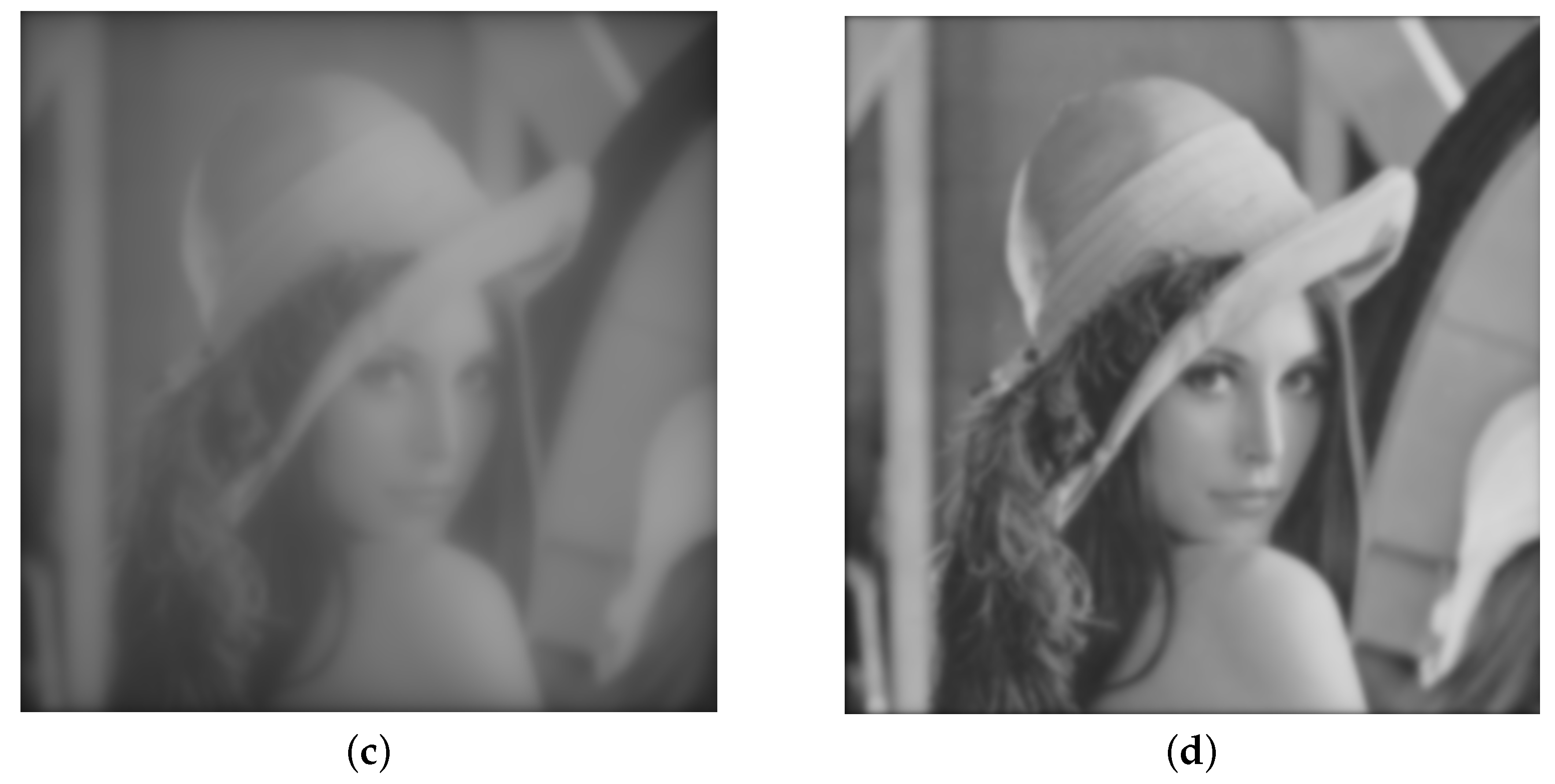 Fractalfract 07 00881 g003b