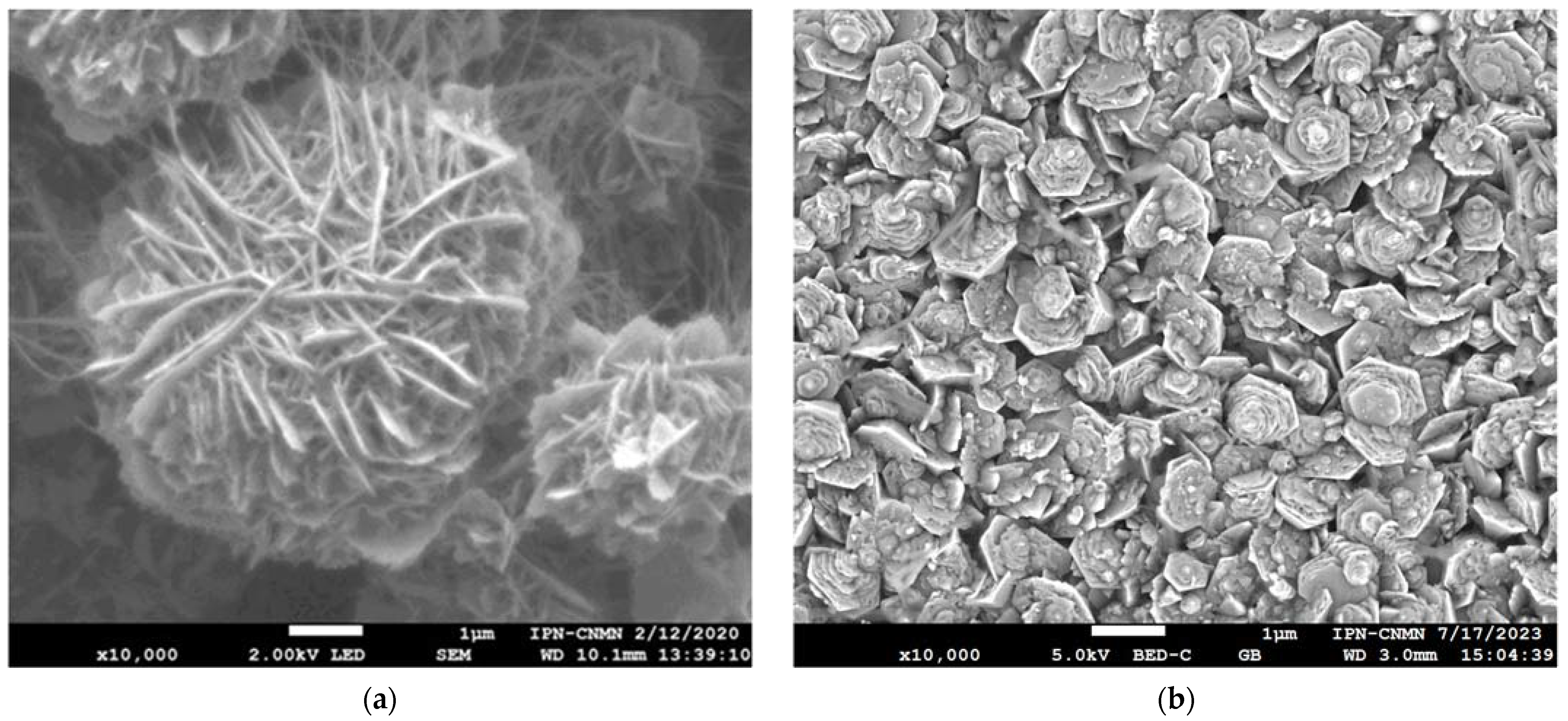 Fractalfract 07 00885 g002