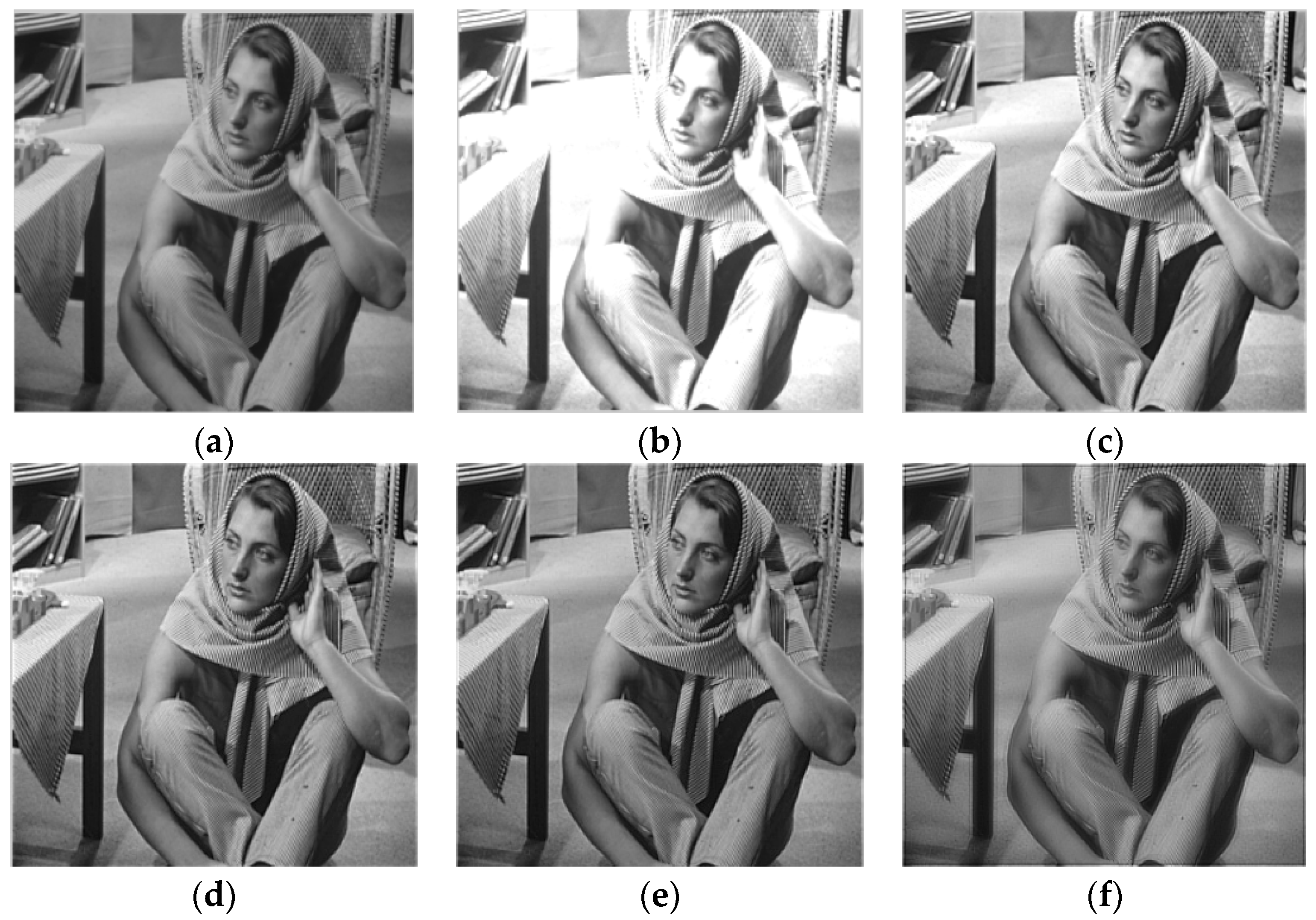 Fractalfract 08 00037 g006