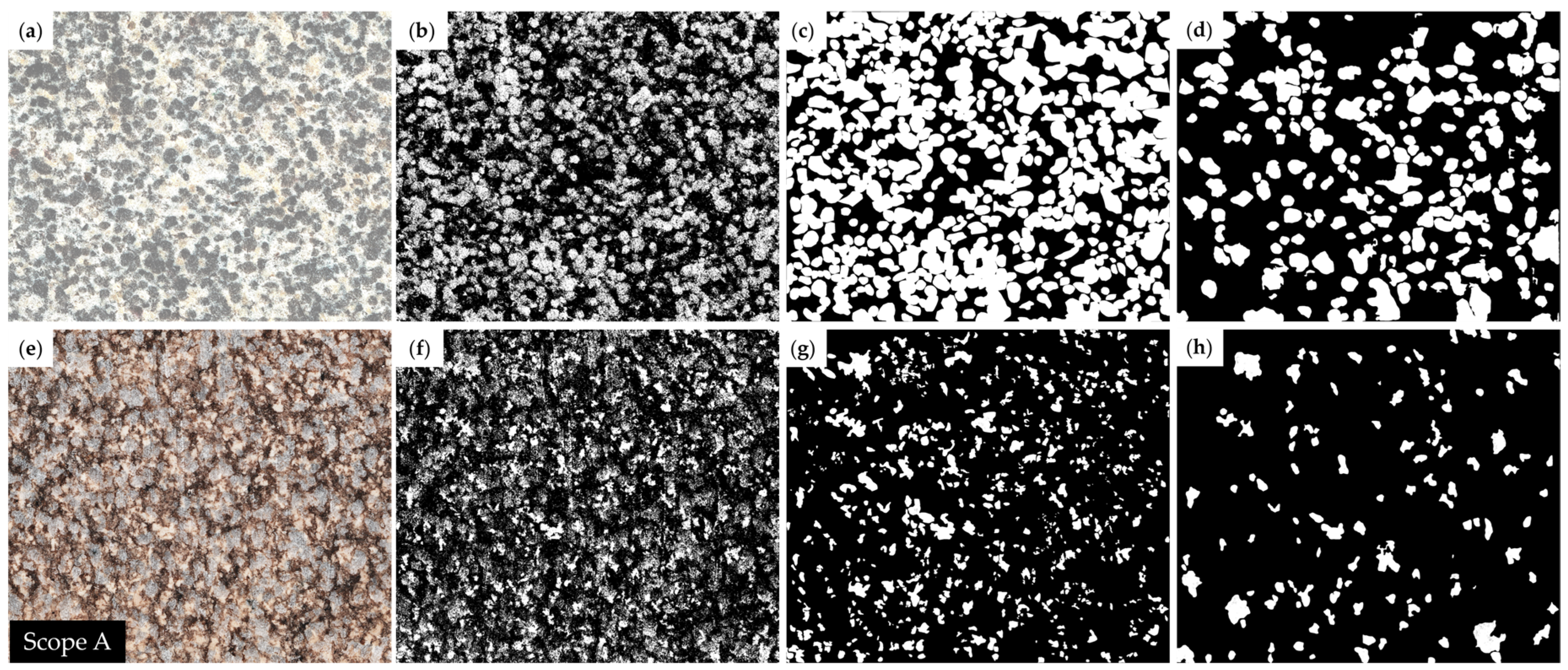 Fractalfract 08 00049 g008