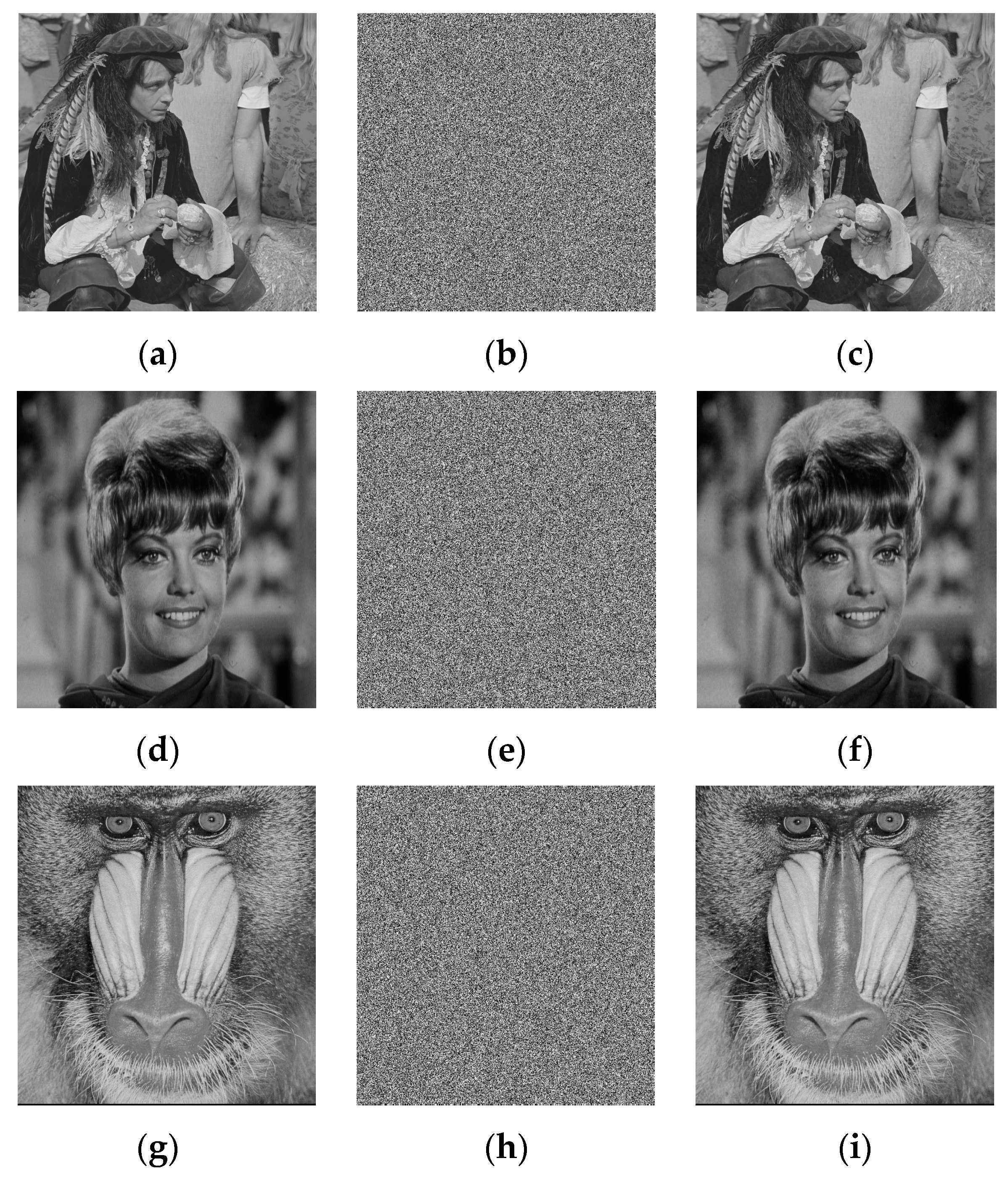 Fractalfract 08 00075 g004a