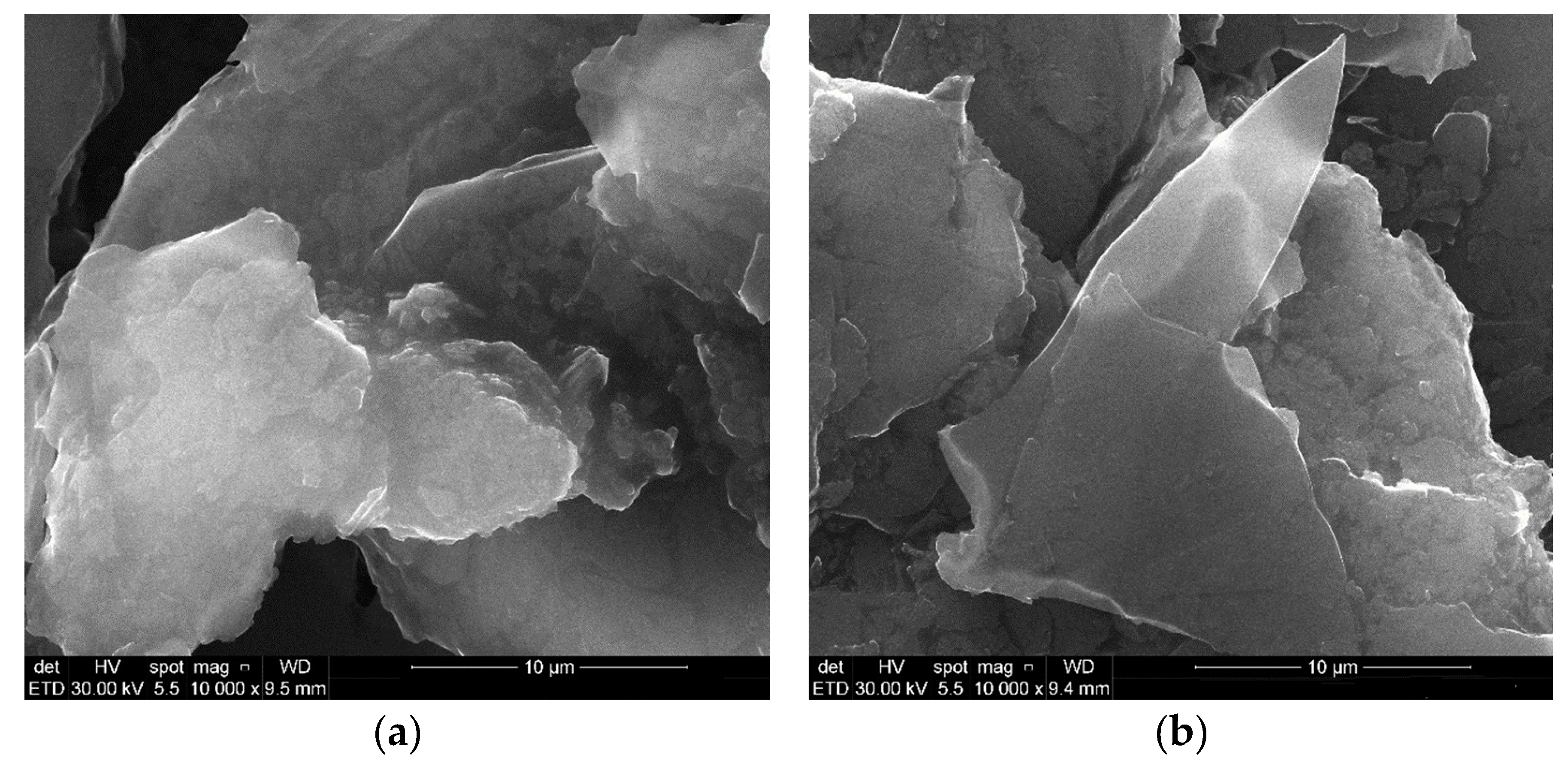 Fractalfract 08 00205 g001a