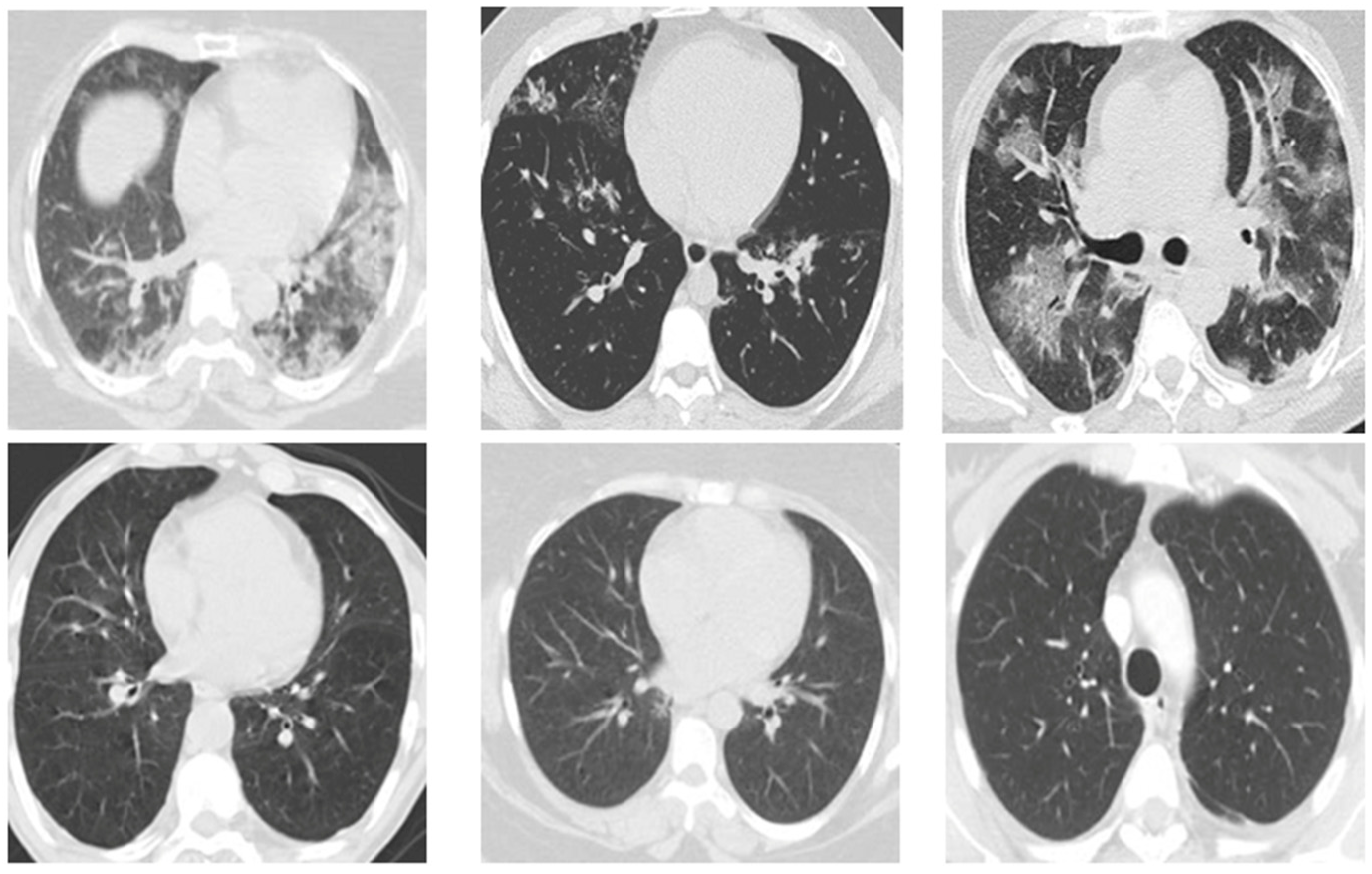 Fractalfract 08 00237 g002