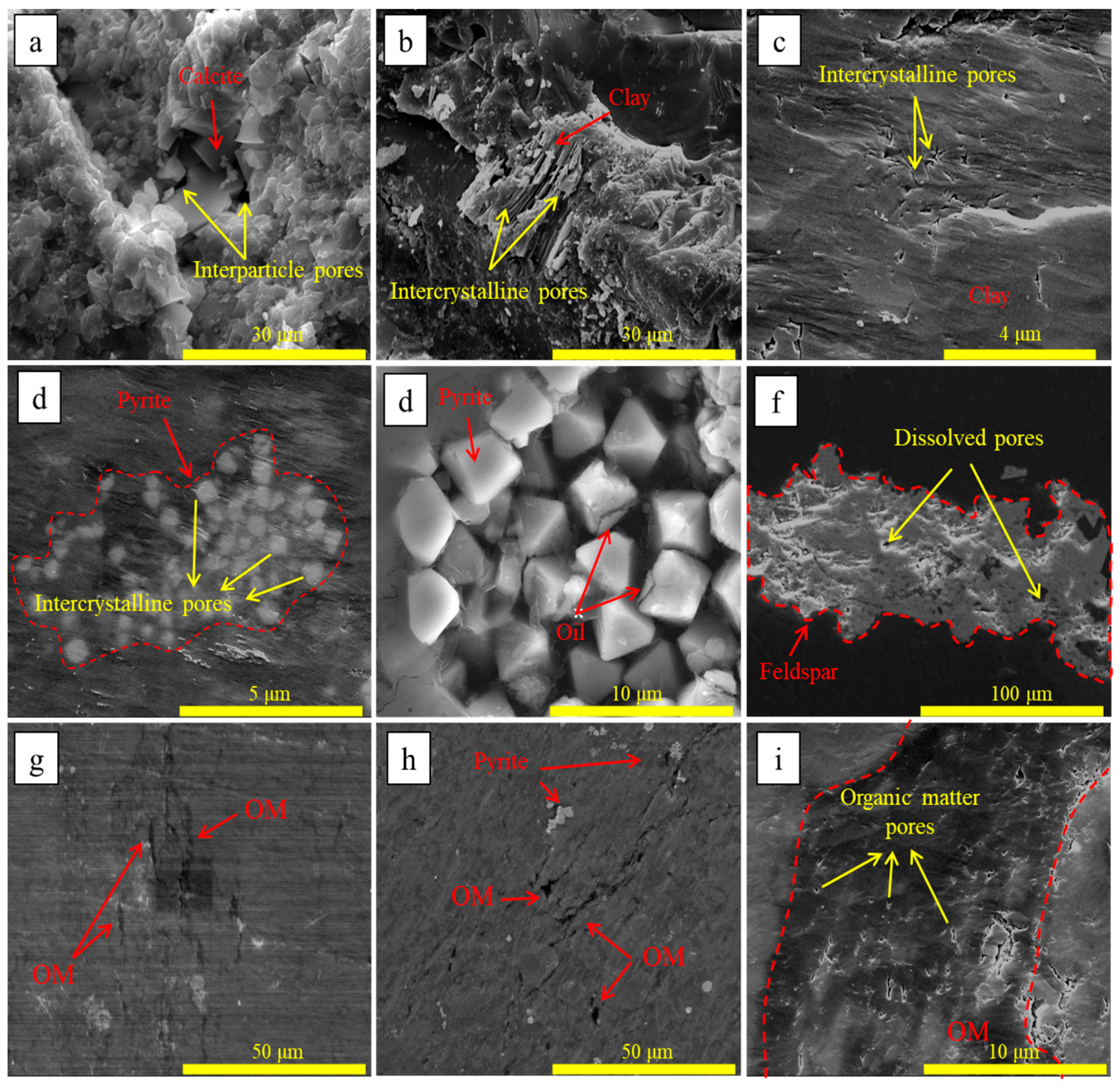 Fractalfract 08 00245 g008