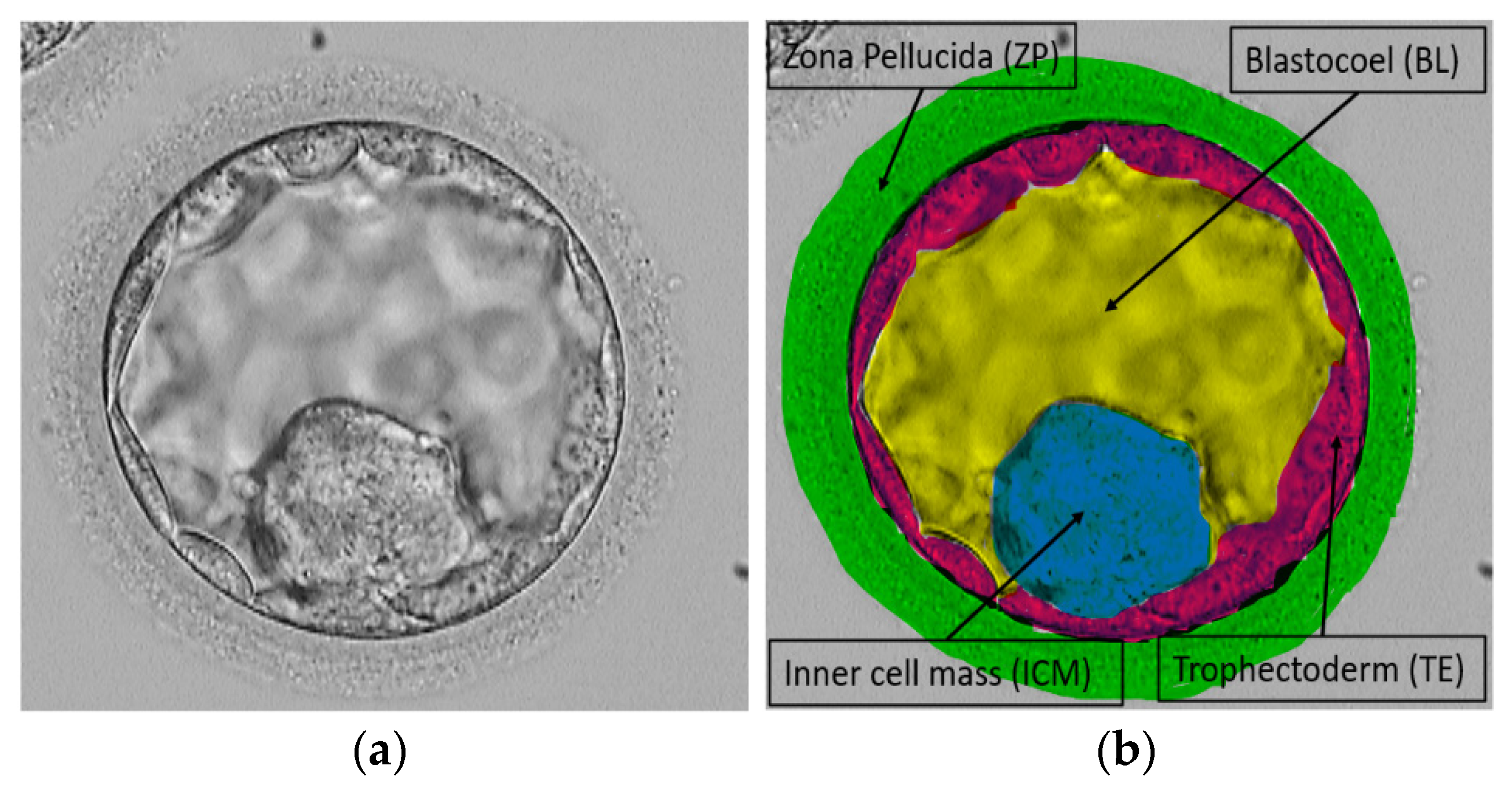 Fractalfract 08 00267 g001