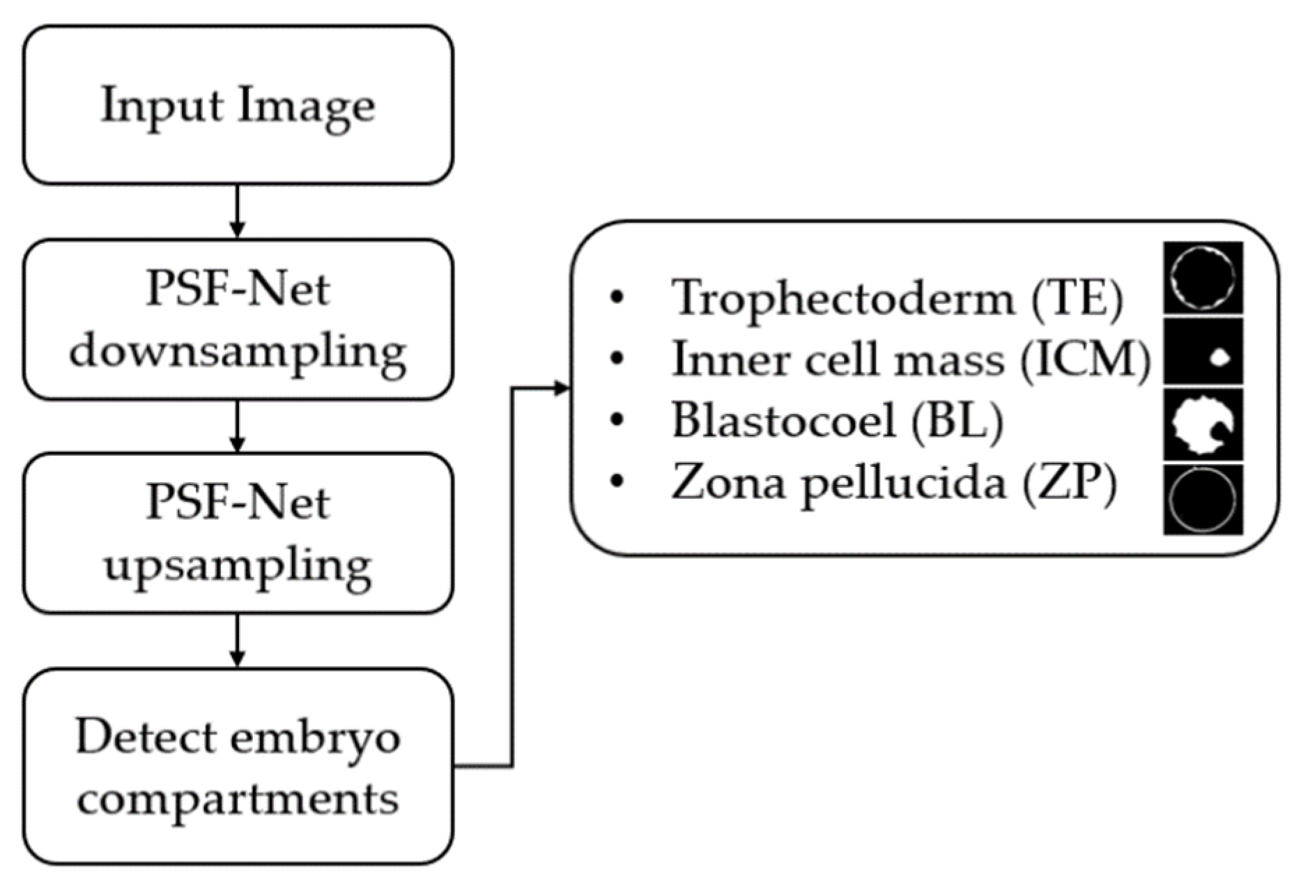Fractalfract 08 00267 g002