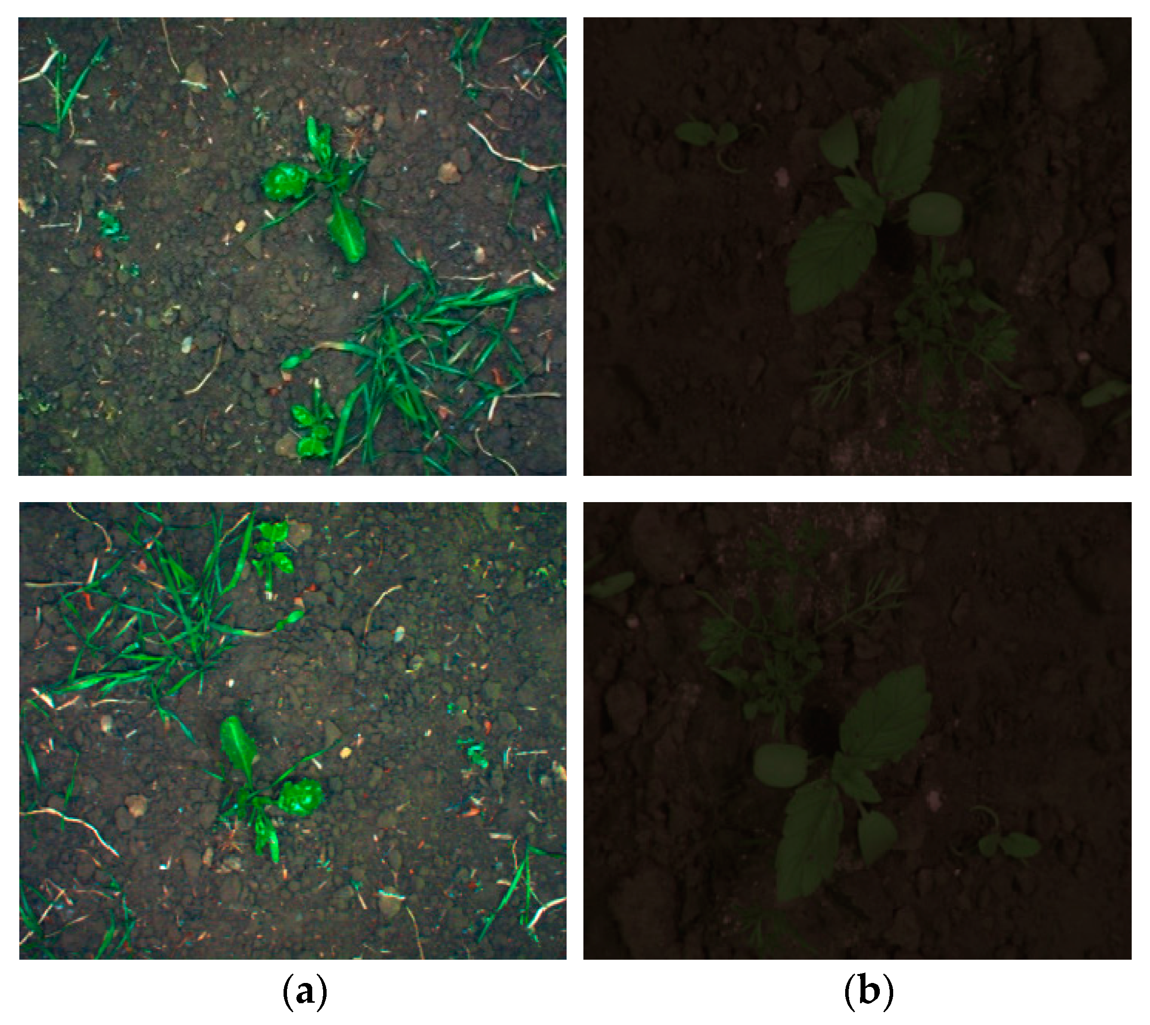 Fractalfract 08 00285 g005