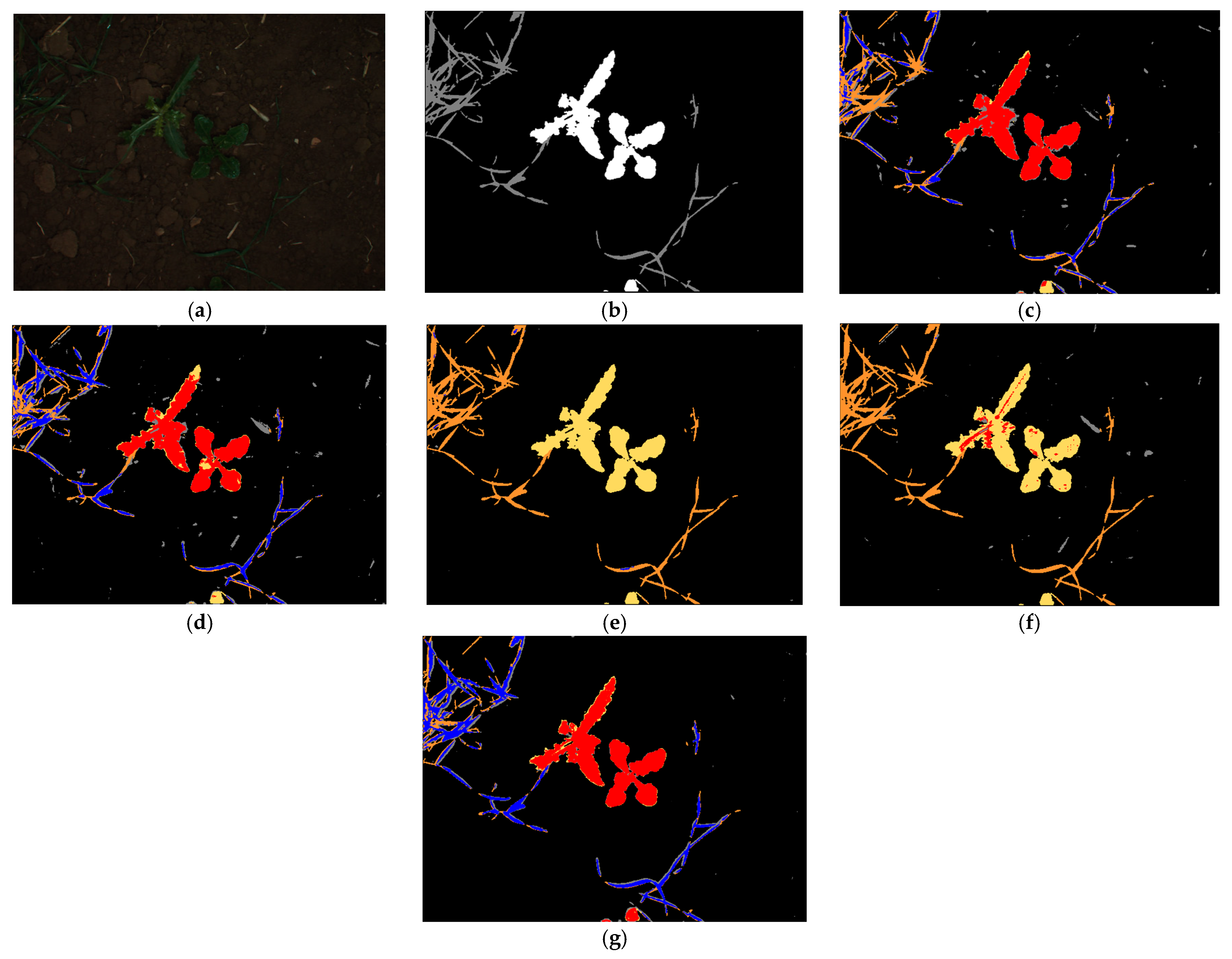 Fractalfract 08 00285 g013