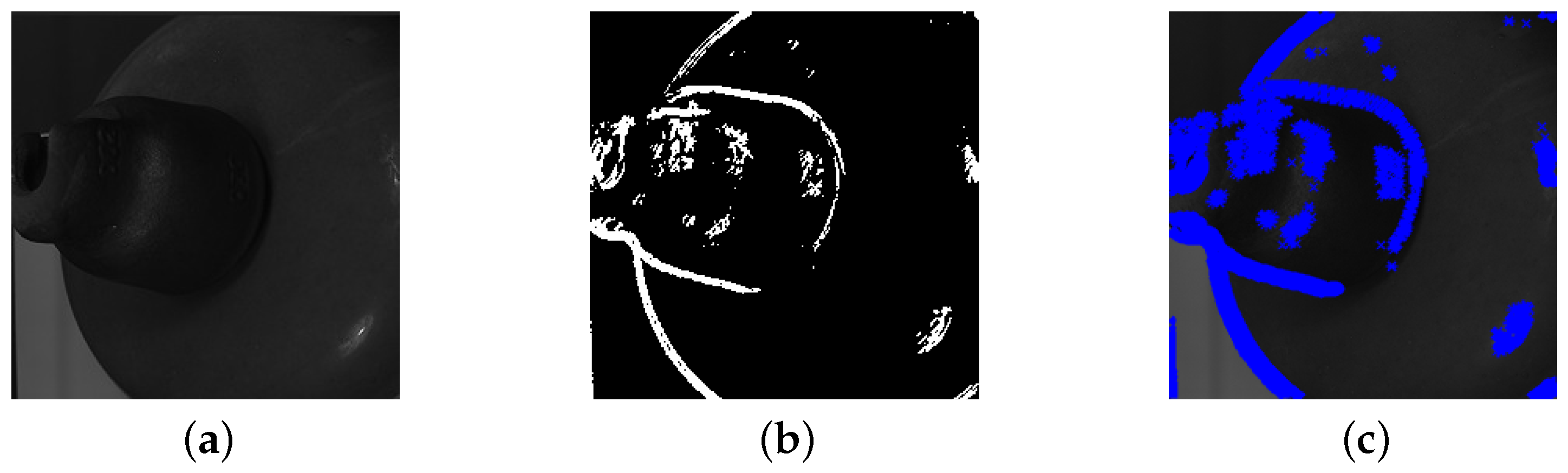 Fractalfract 08 00320 g023