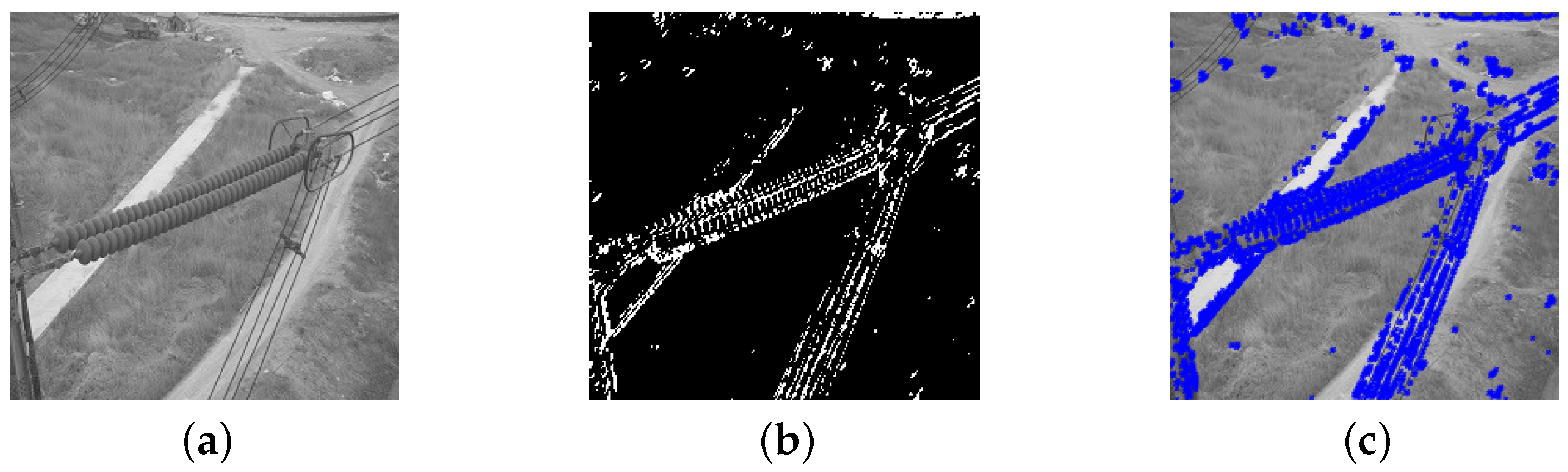 Fractalfract 08 00320 g024