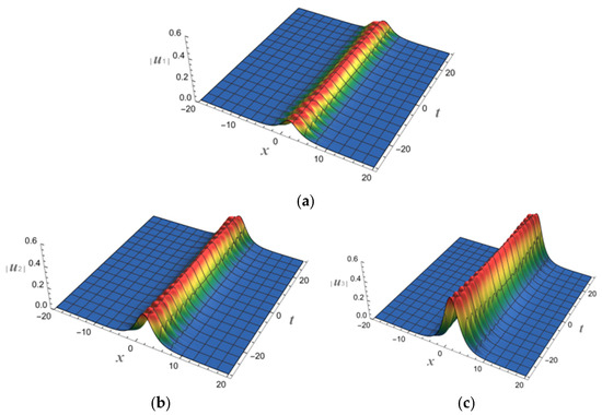 シン Spatiotemporal Characteristics, Causes, and Prediction of