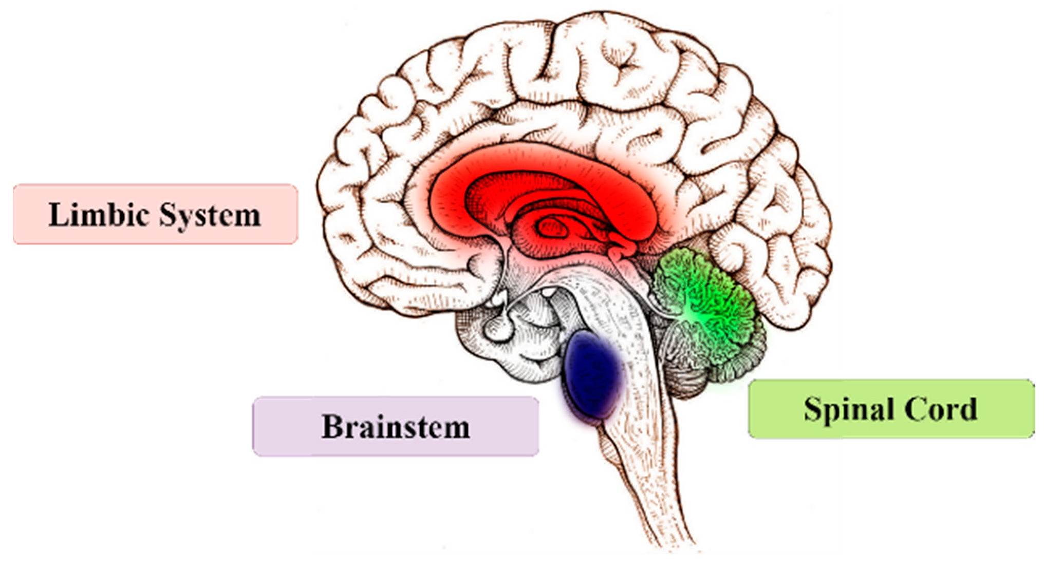 Fractalfract 08 00365 g002