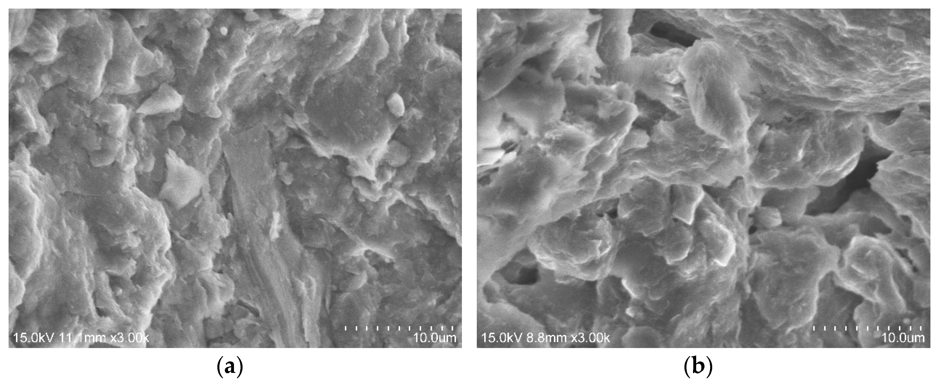 Fractalfract 08 00393 g005