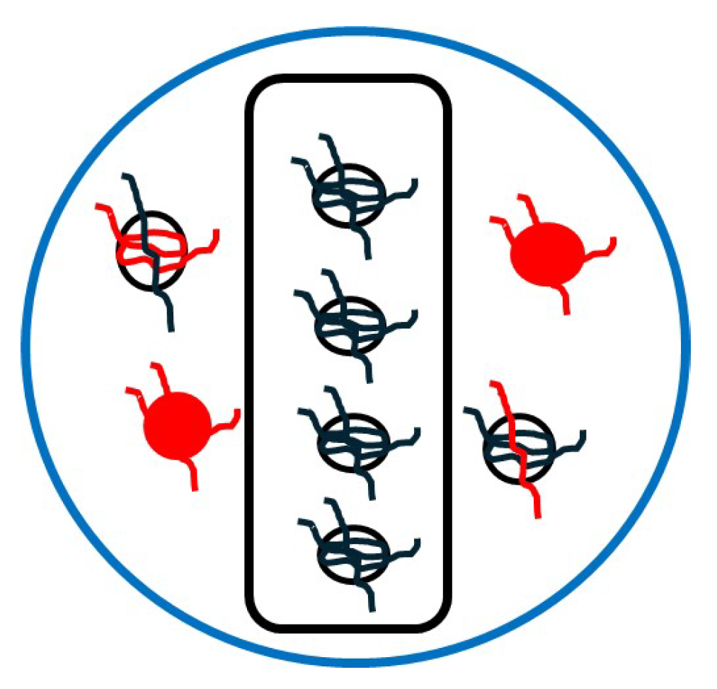 Fractalfract 08 00496 g012