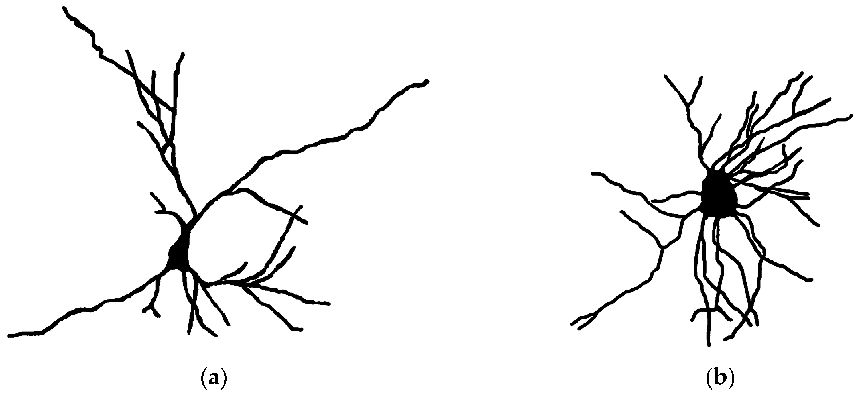 Fractalfract 08 00514 g001