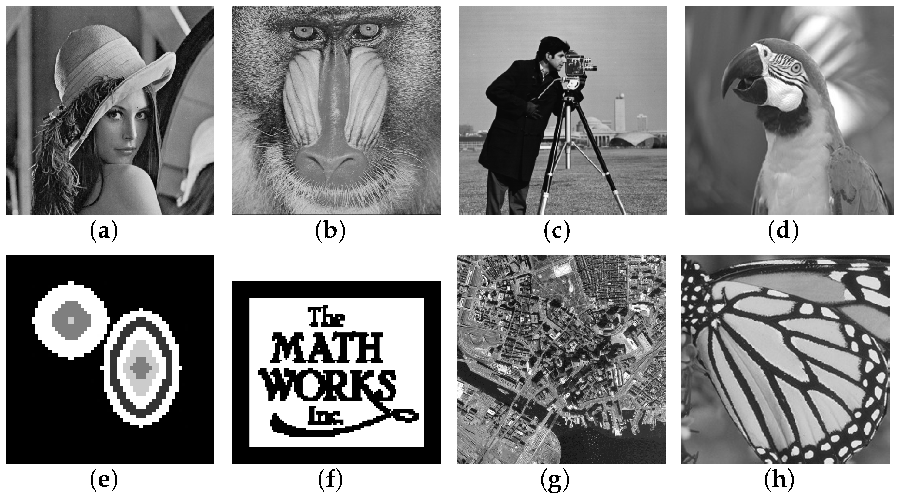 Fractalfract 08 00567 g001