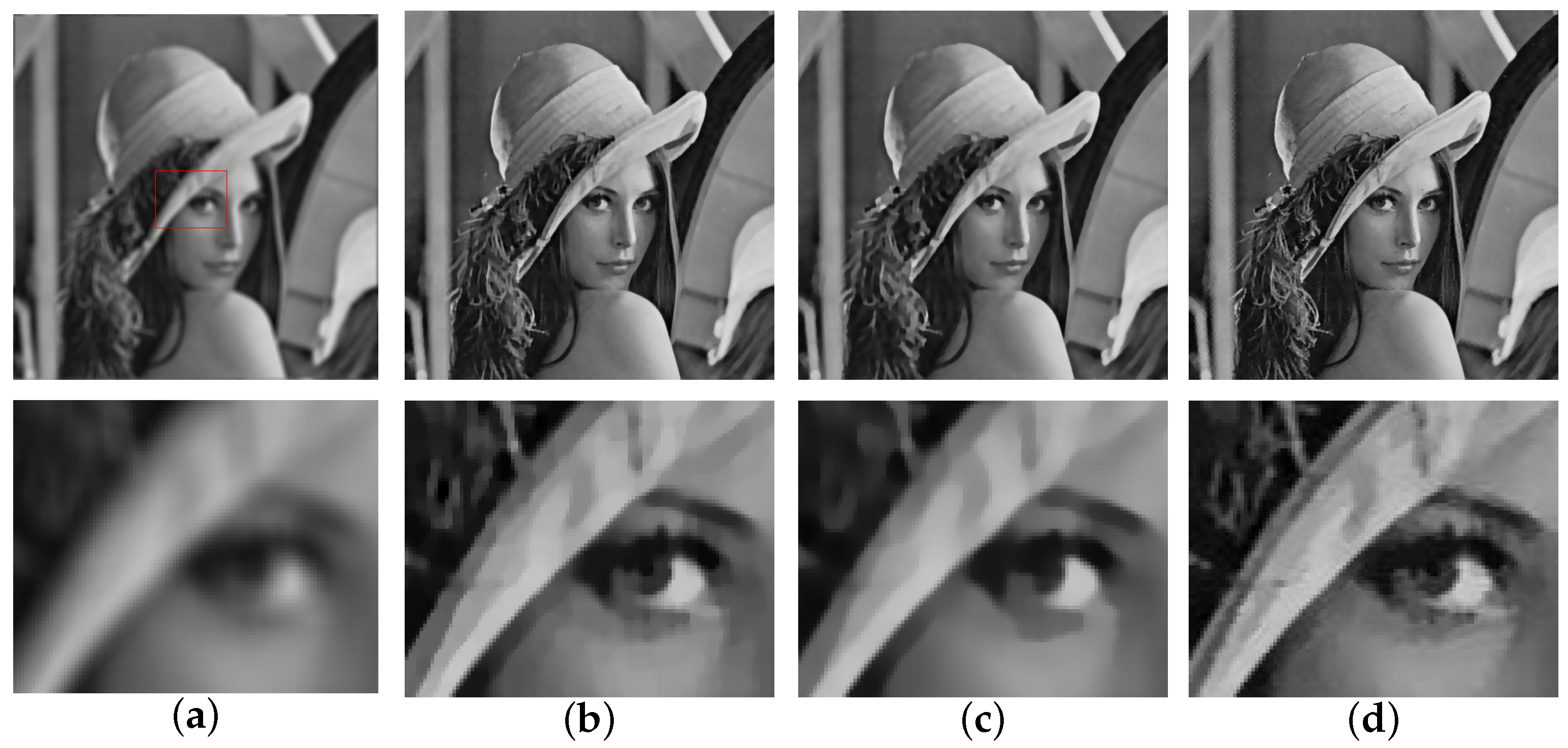 Fractalfract 08 00567 g002