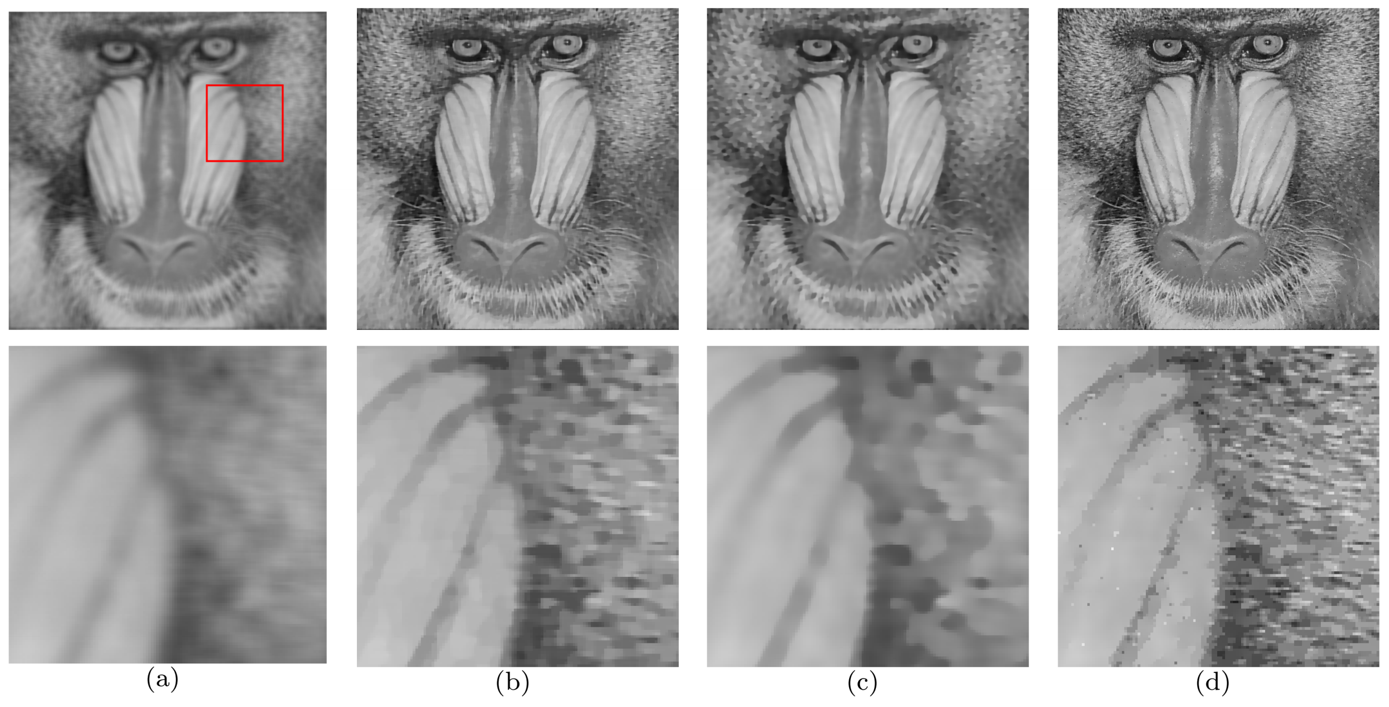 Fractalfract 08 00567 g004