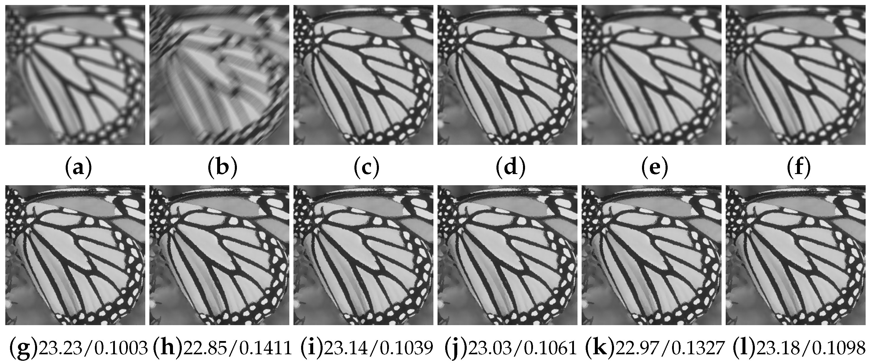 Fractalfract 08 00567 g017