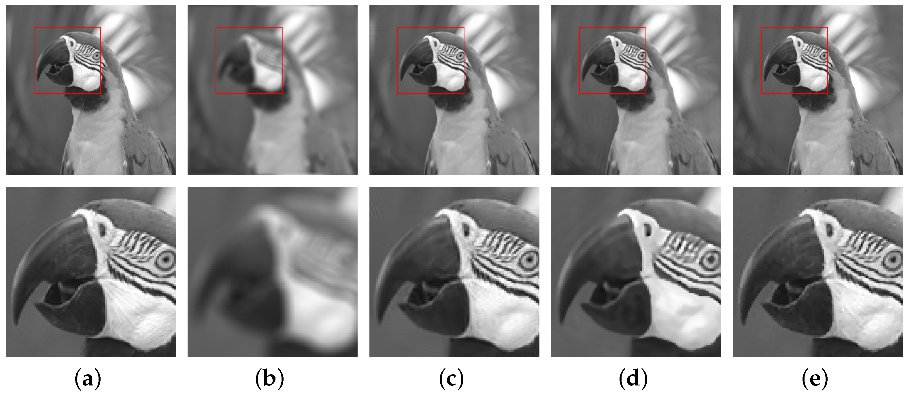 Fractalfract 08 00567 g018