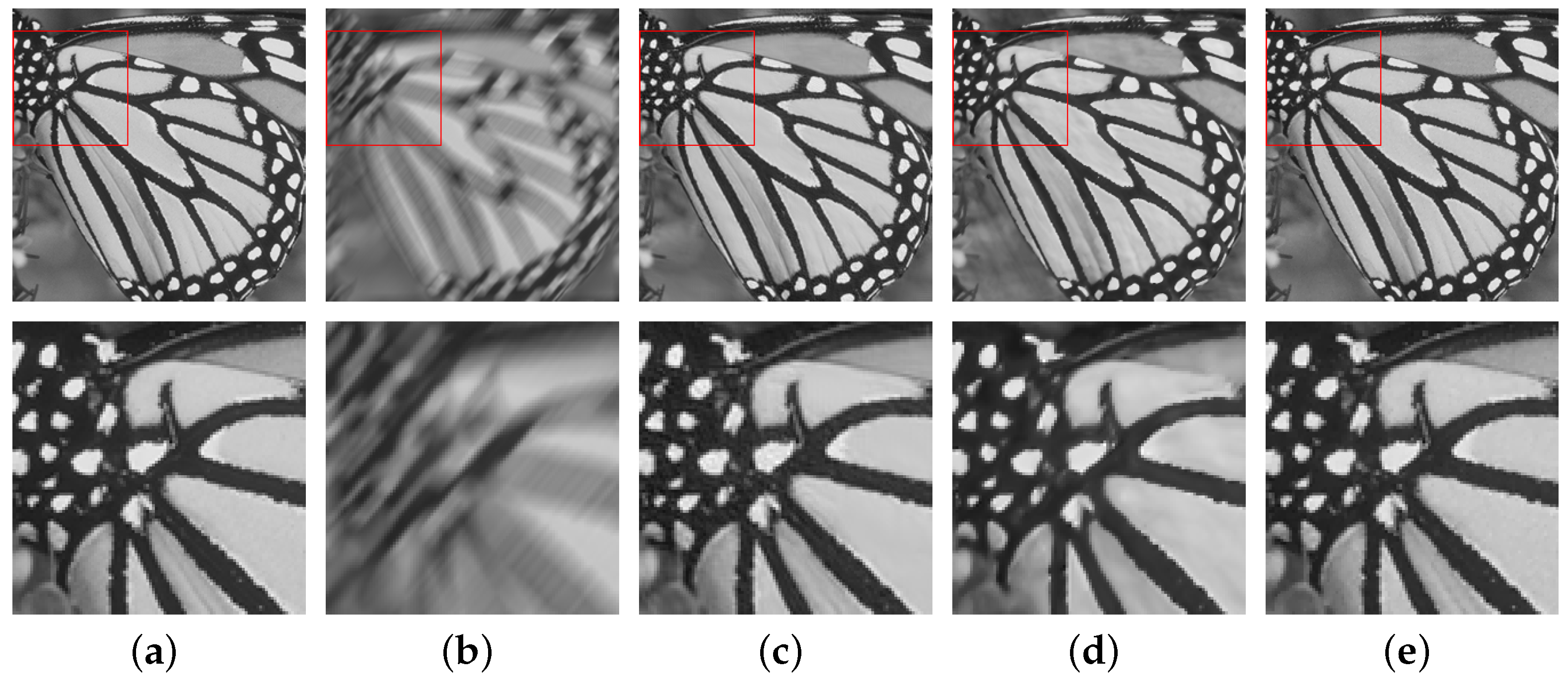 Fractalfract 08 00567 g019