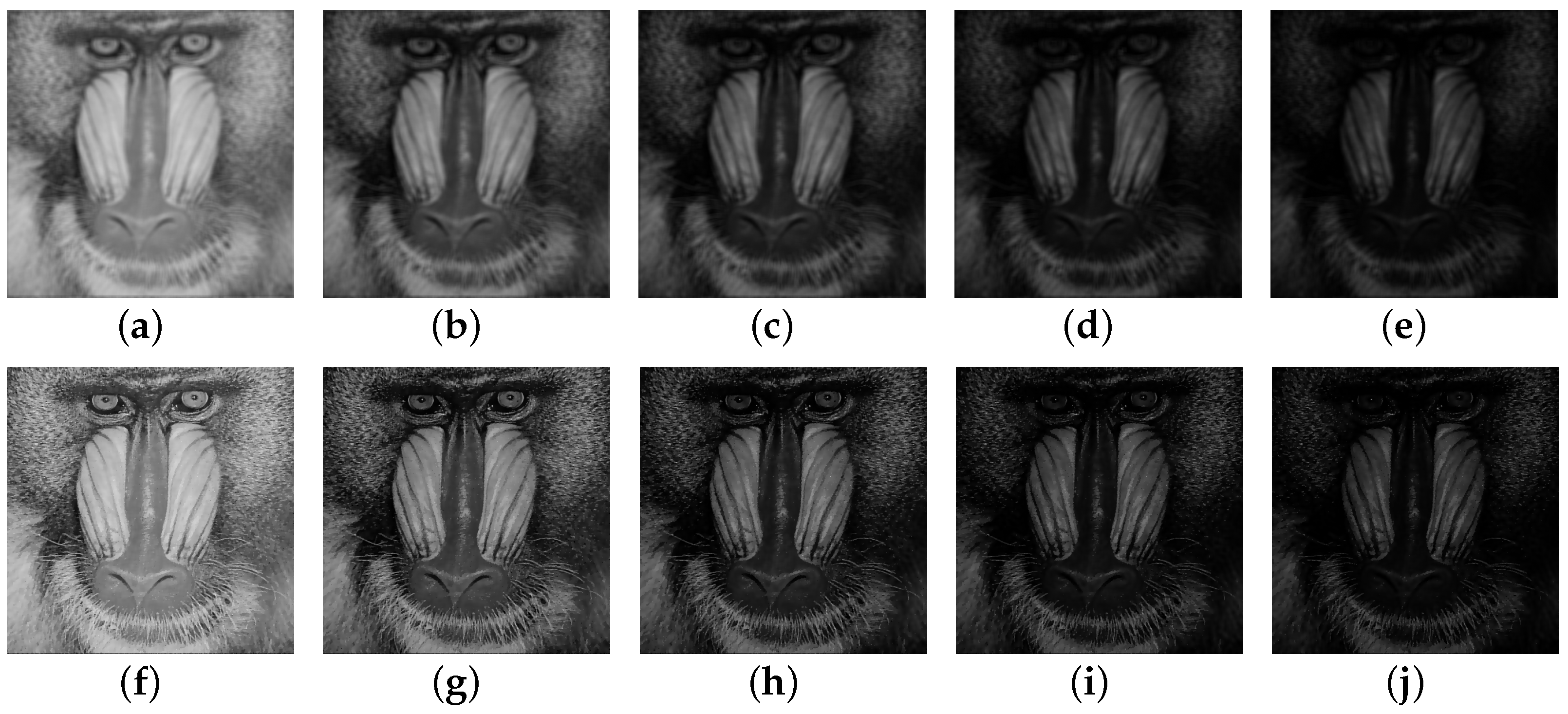 Fractalfract 08 00567 g022