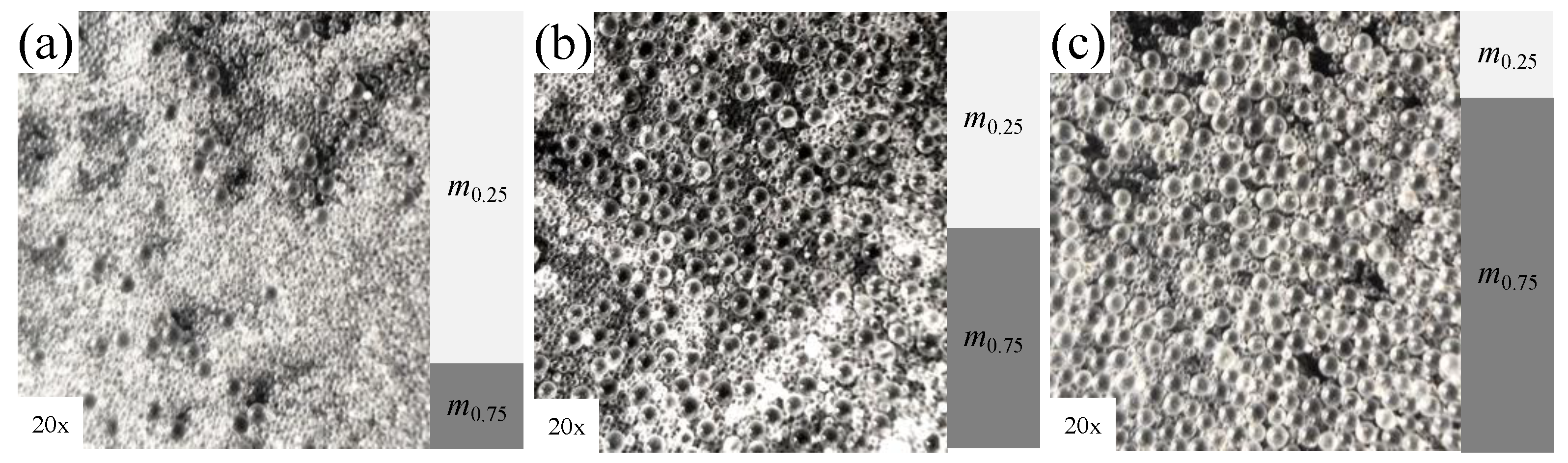 Fractalfract 08 00578 g002 Fractalfract 08 00578 g002