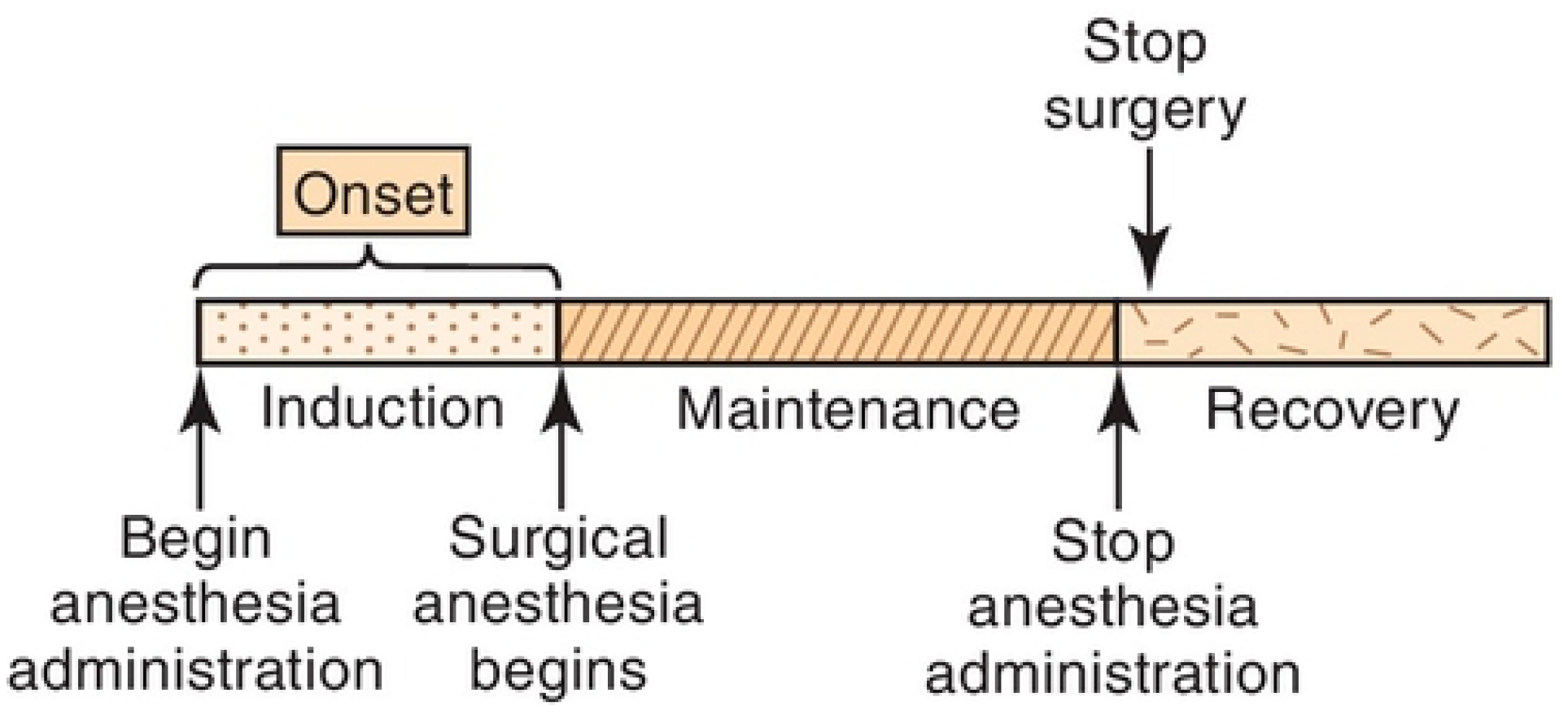 Fractalfract 08 00623 g002