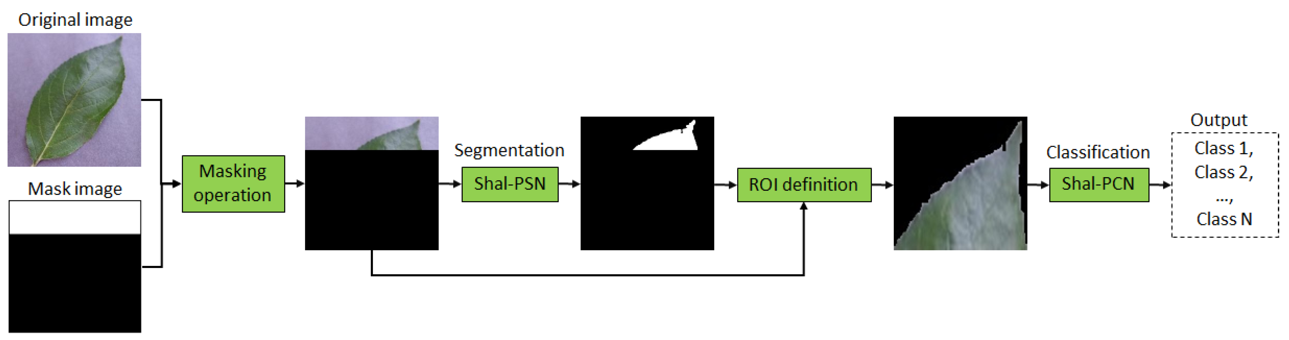 Fractalfract 08 00633 g002