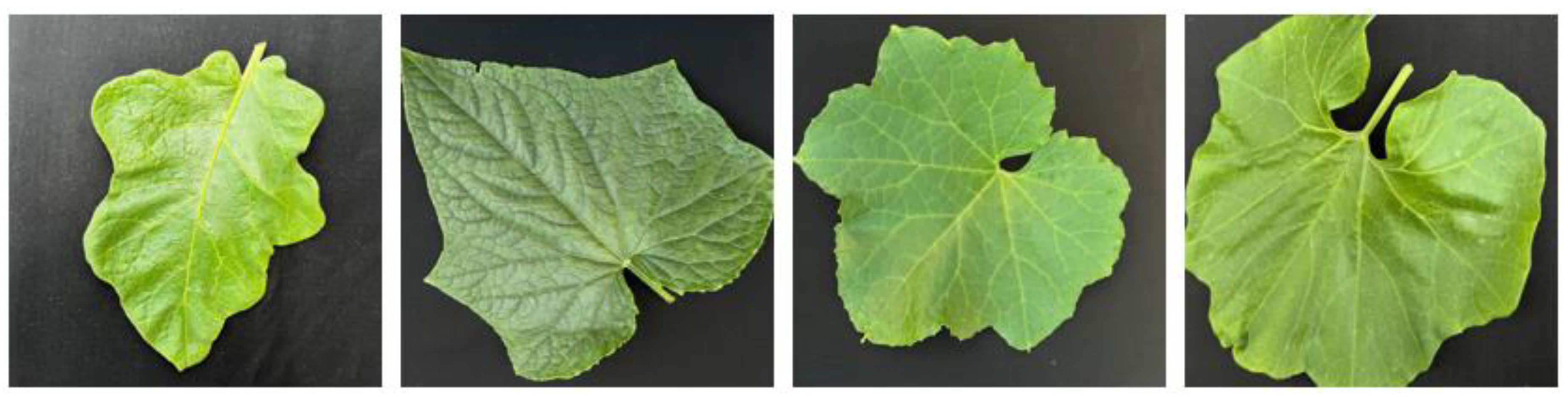 Fractalfract 08 00633 g005