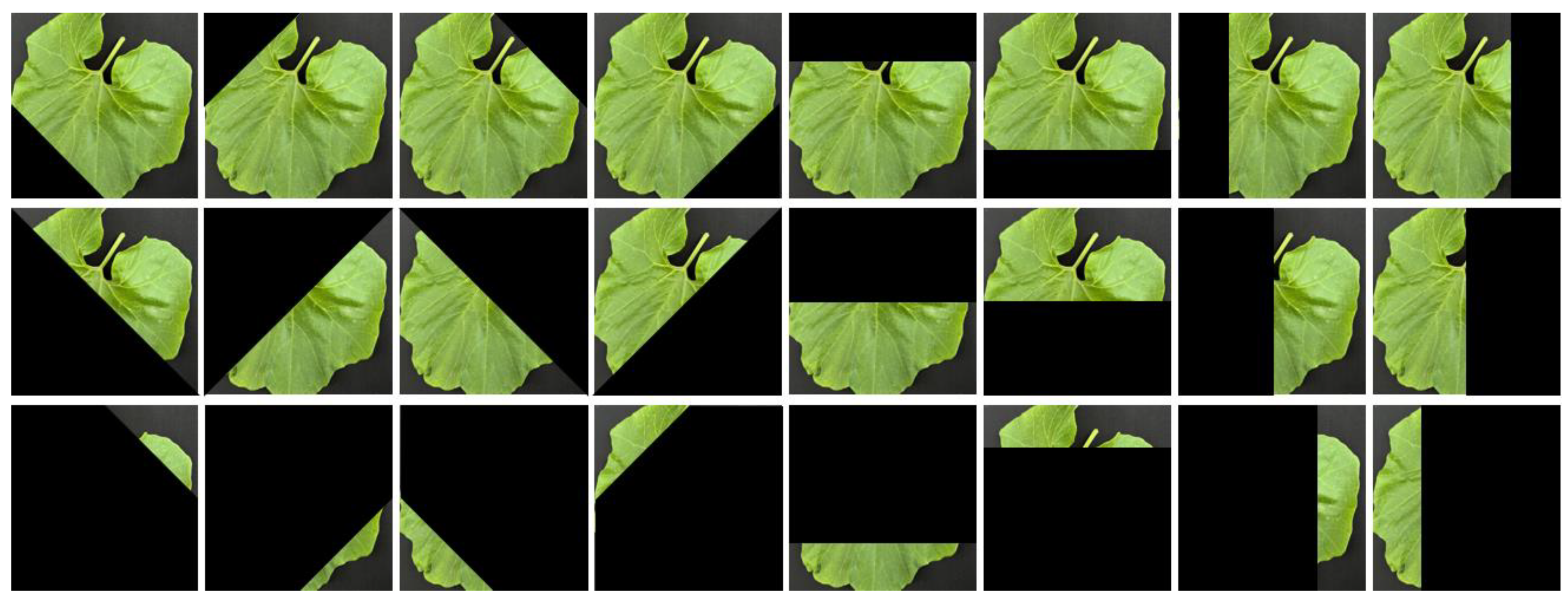 Fractalfract 08 00633 g006