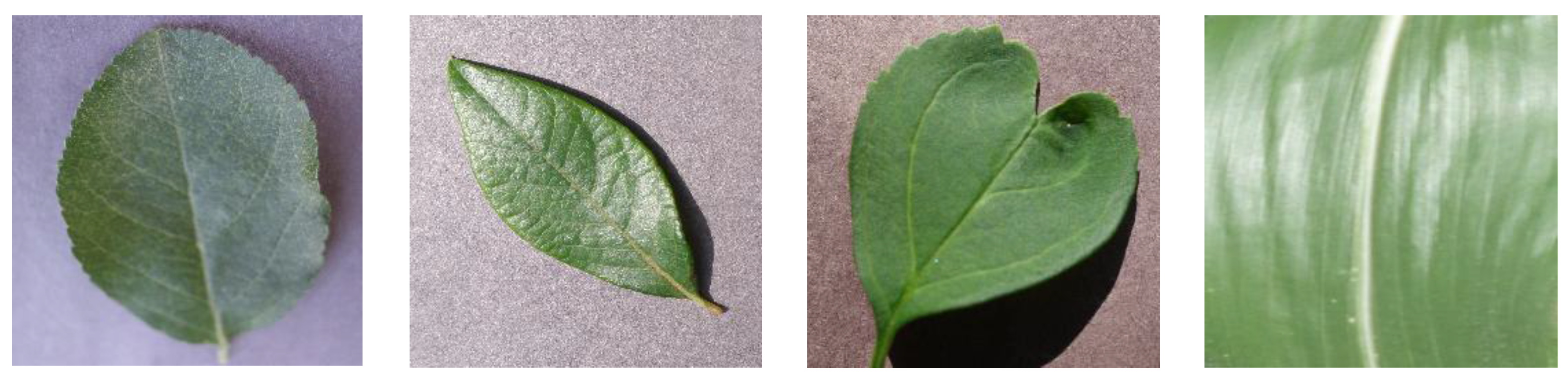 Fractalfract 08 00633 g007