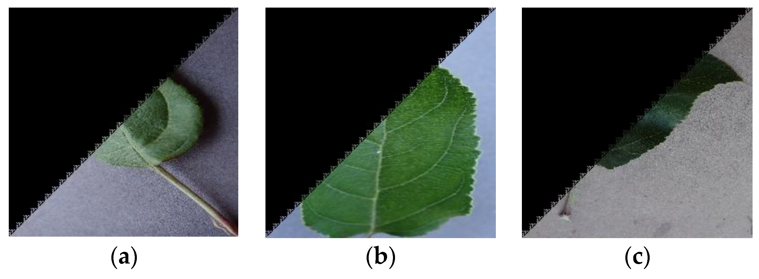 Fractalfract 08 00633 g008