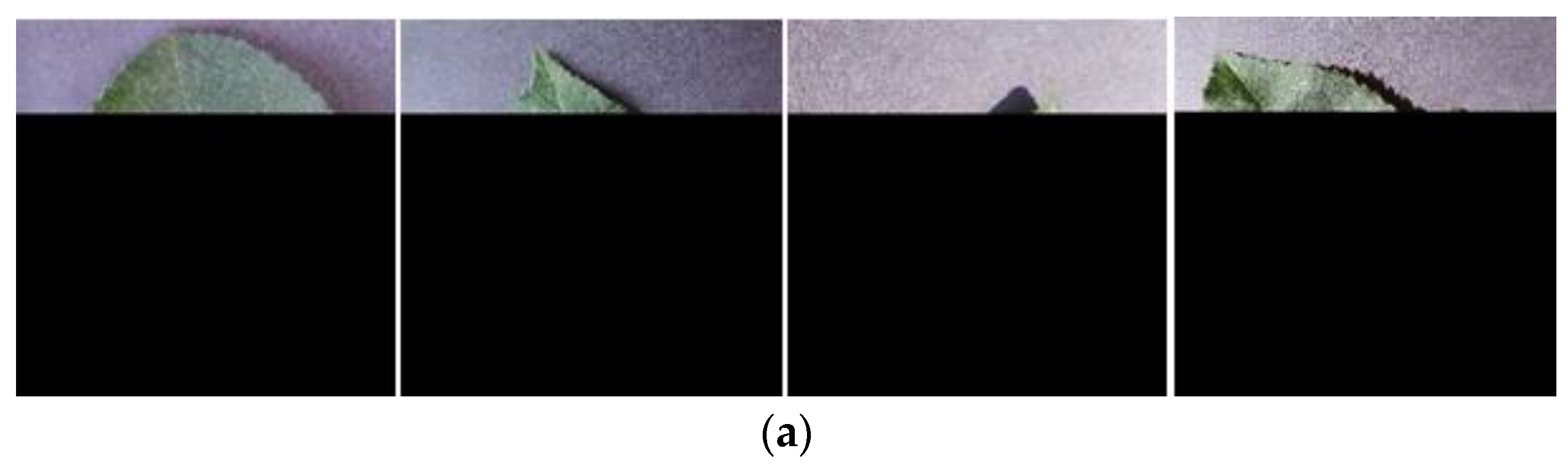 Fractalfract 08 00633 g010a