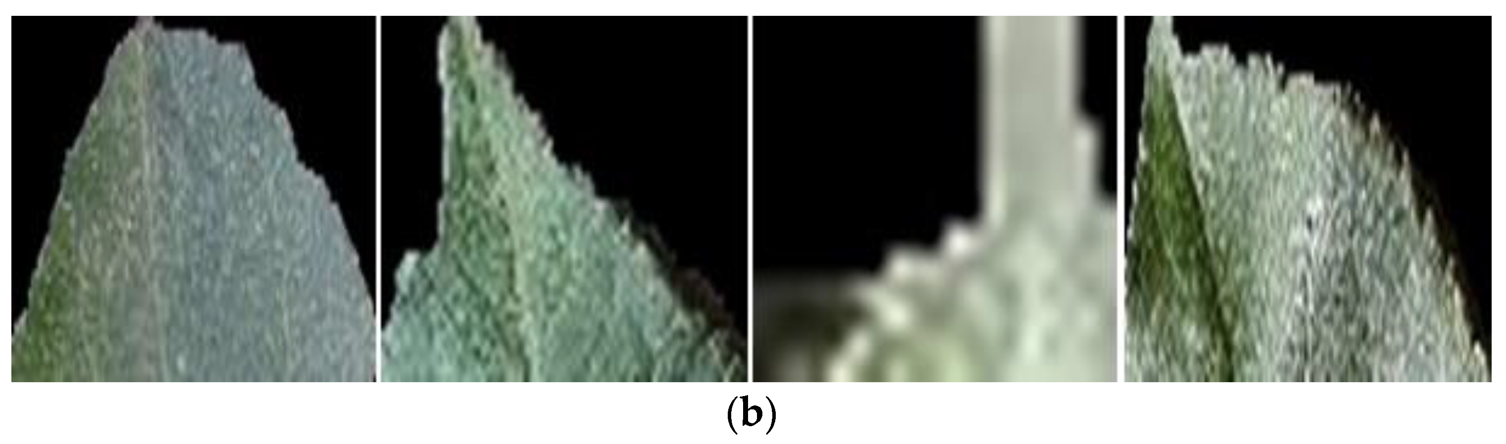 Fractalfract 08 00633 g010b