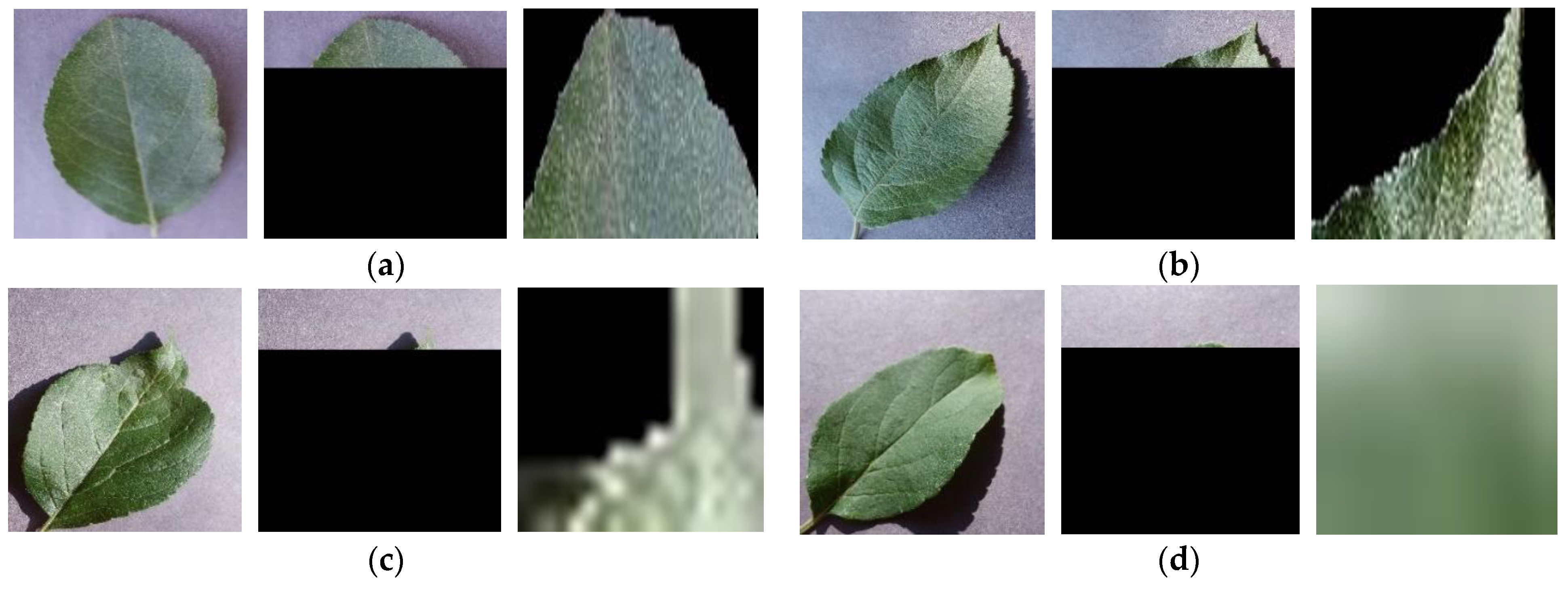 Fractalfract 08 00633 g012