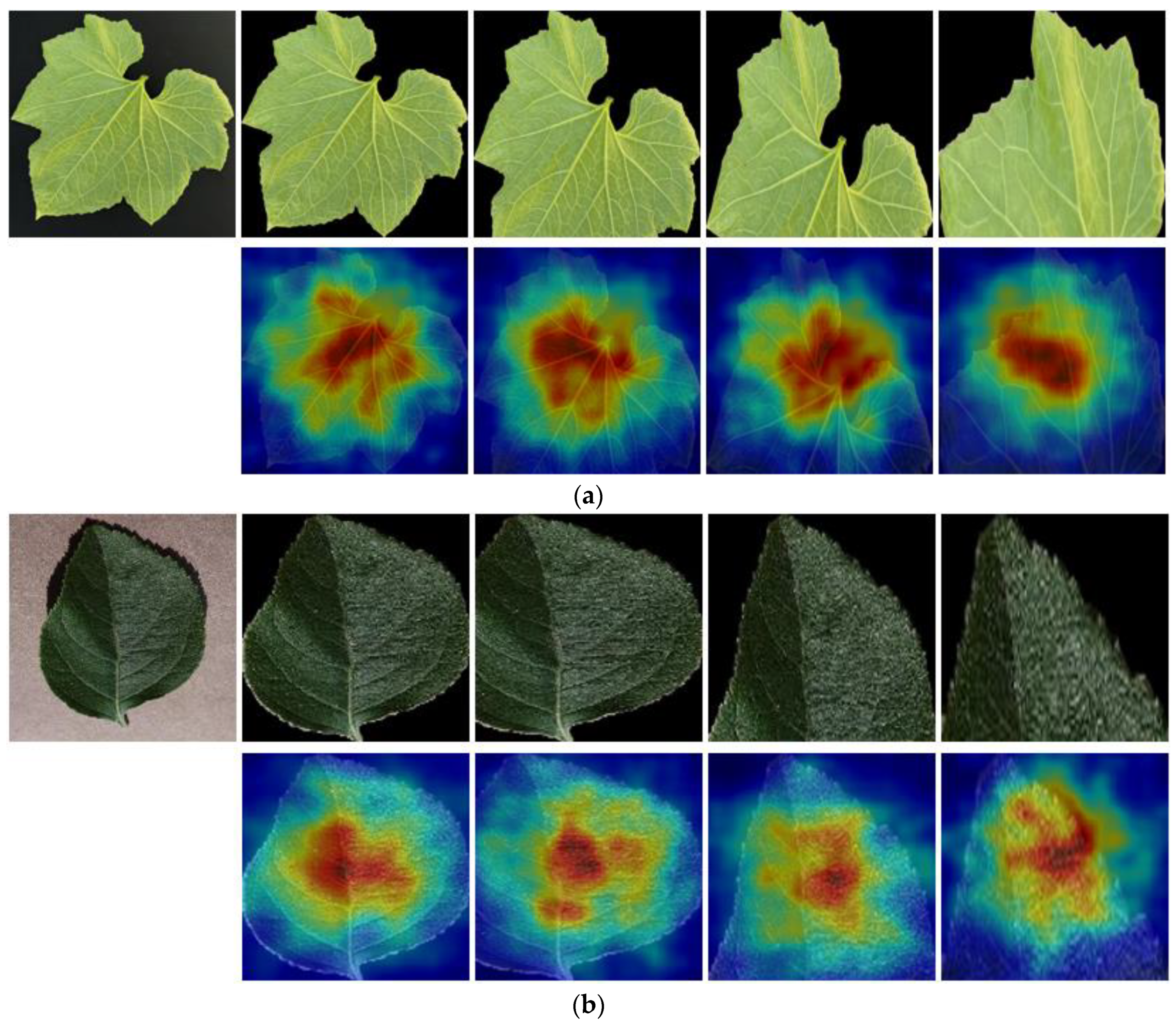 Fractalfract 08 00633 g013